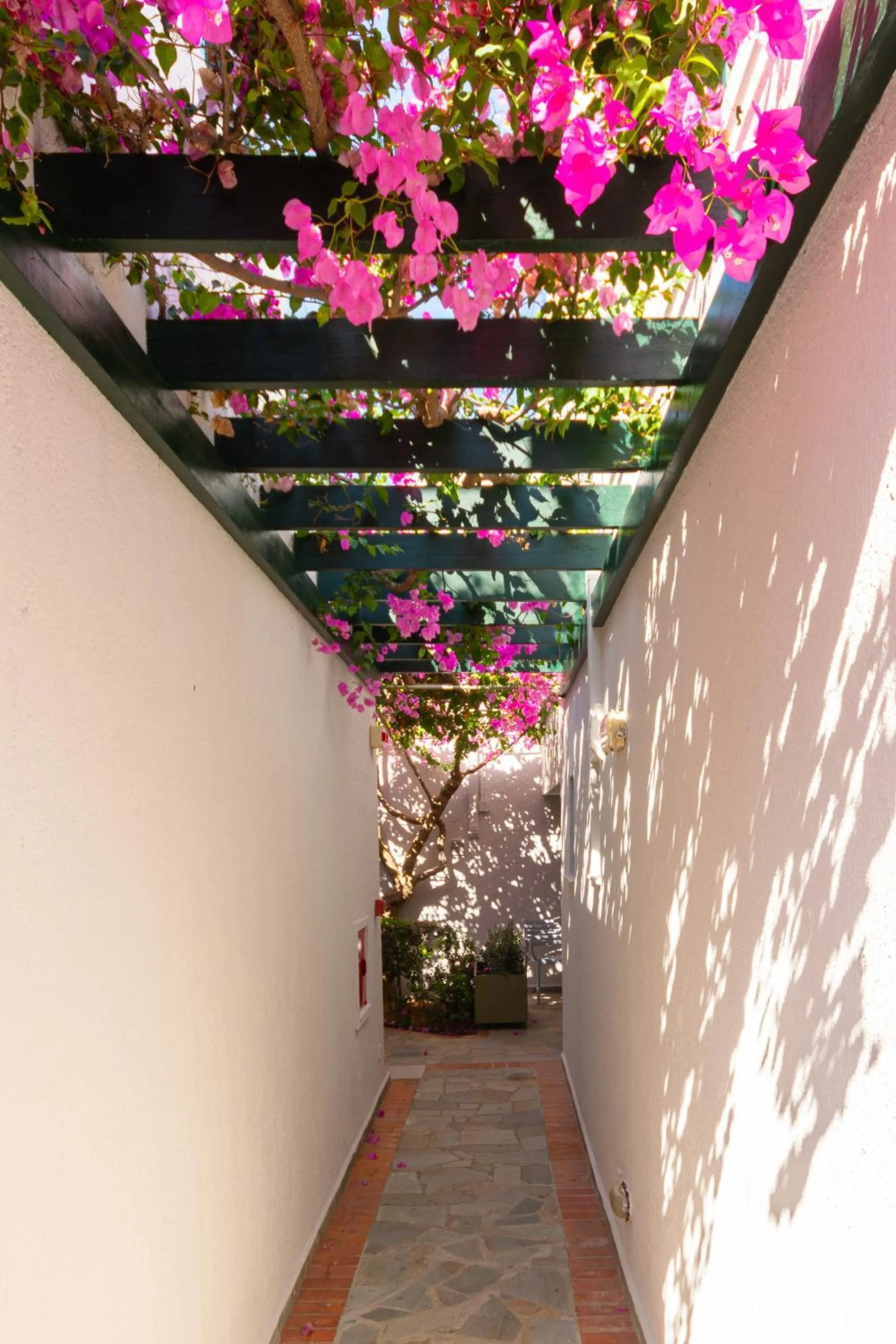 Patio in Anna Maria Village