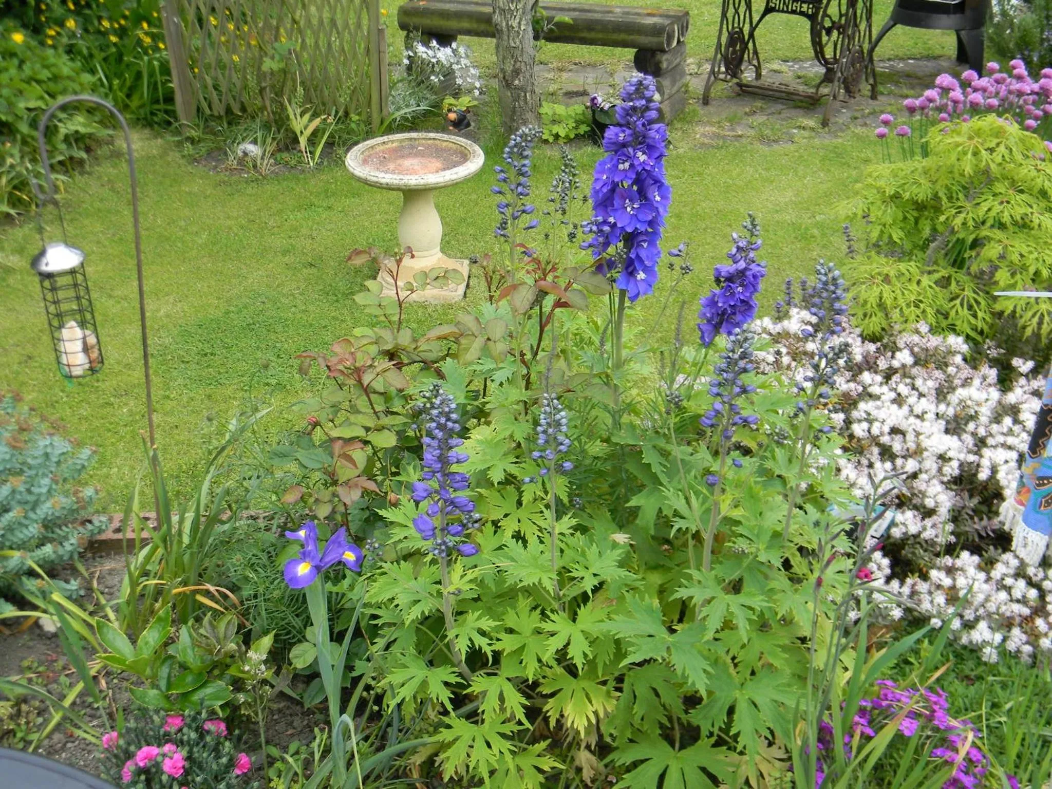 Garden view, Garden in Ugiebrae House Bed & Breakfast