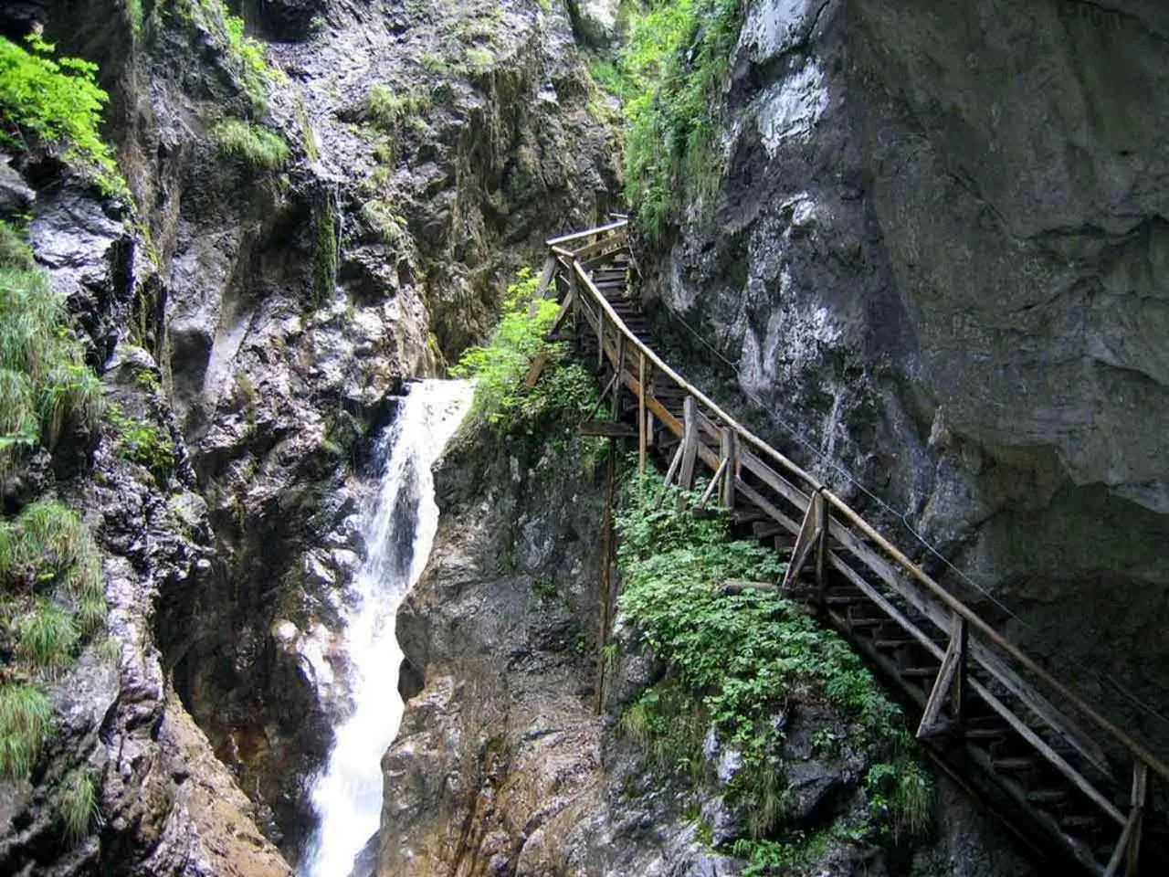 Area and facilities in Hotel Jenbacherhof B&B