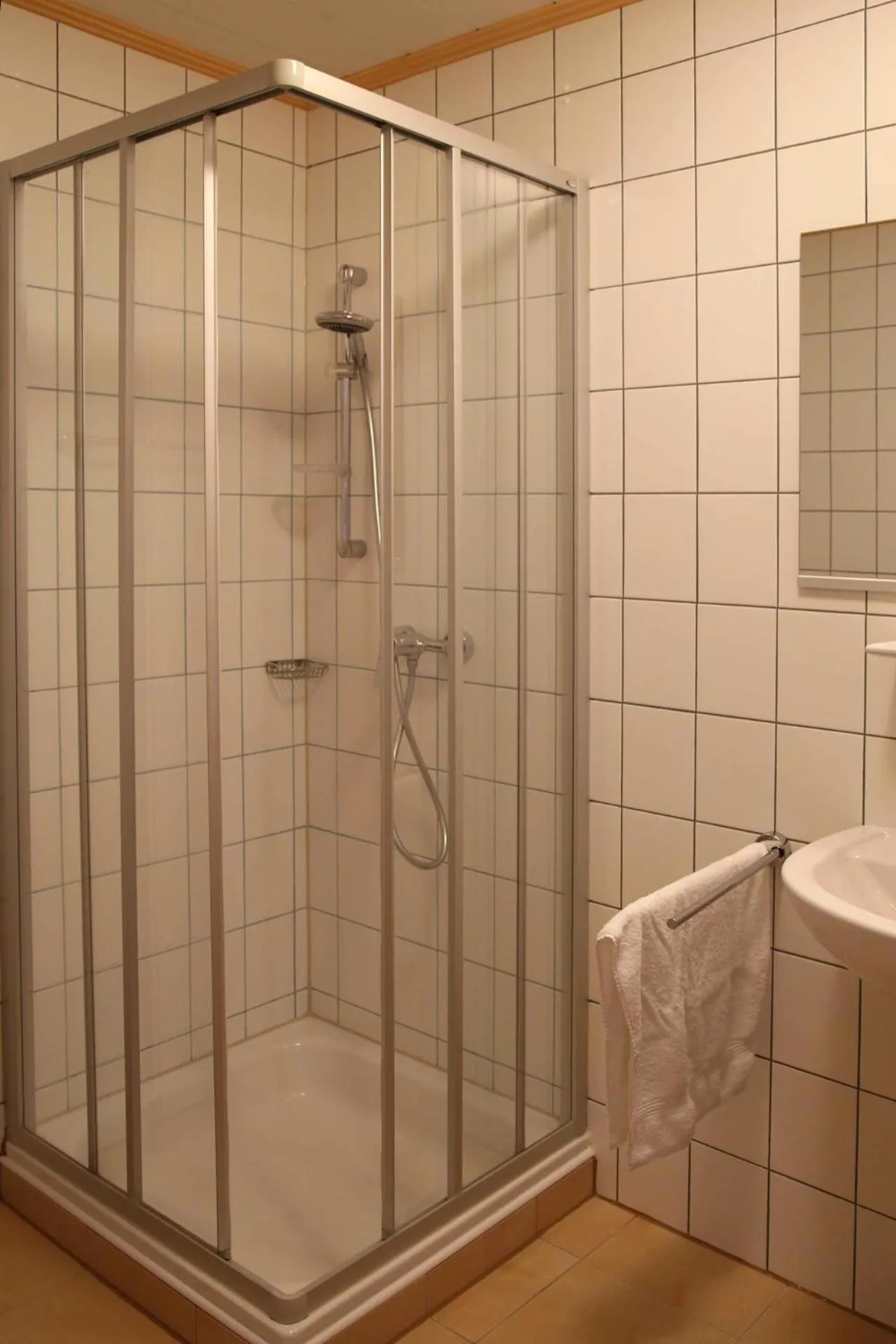 Shower in Die Filzmooserin - Apartments in Filzmoos, Filzmoos Card inklusive