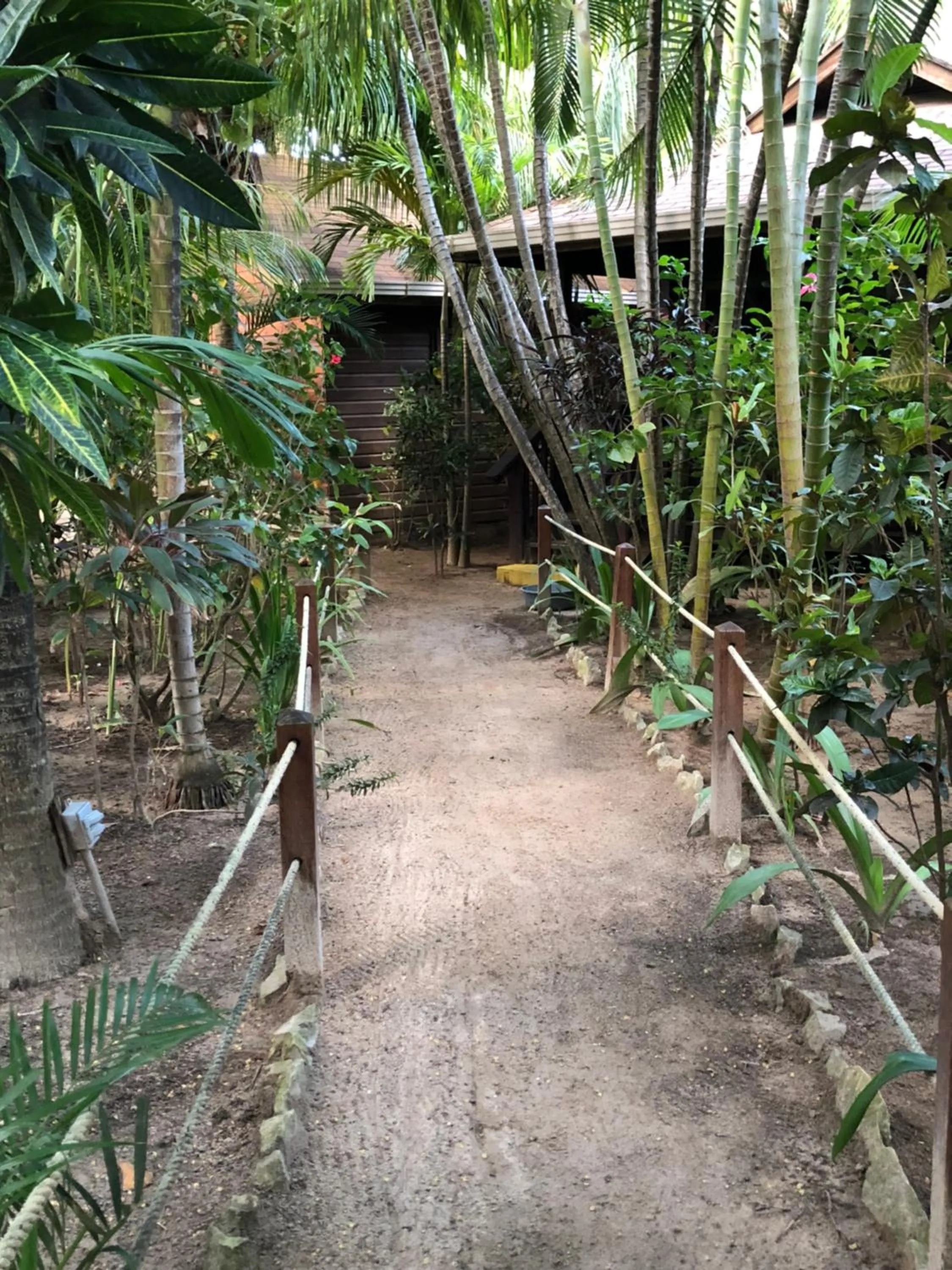 Garden in Bananarama Dive & Beach Resort