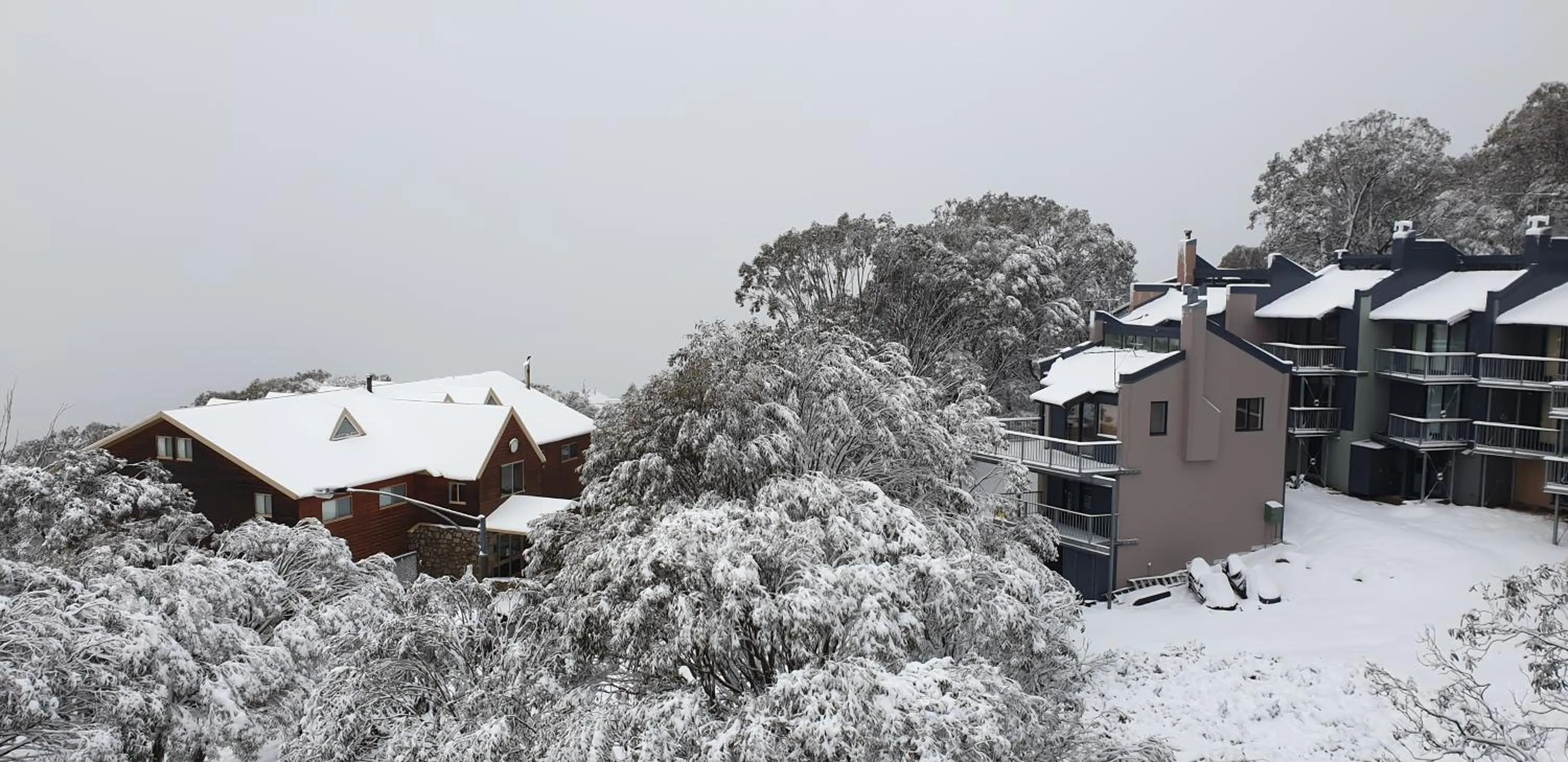 Cedarwood Apartments