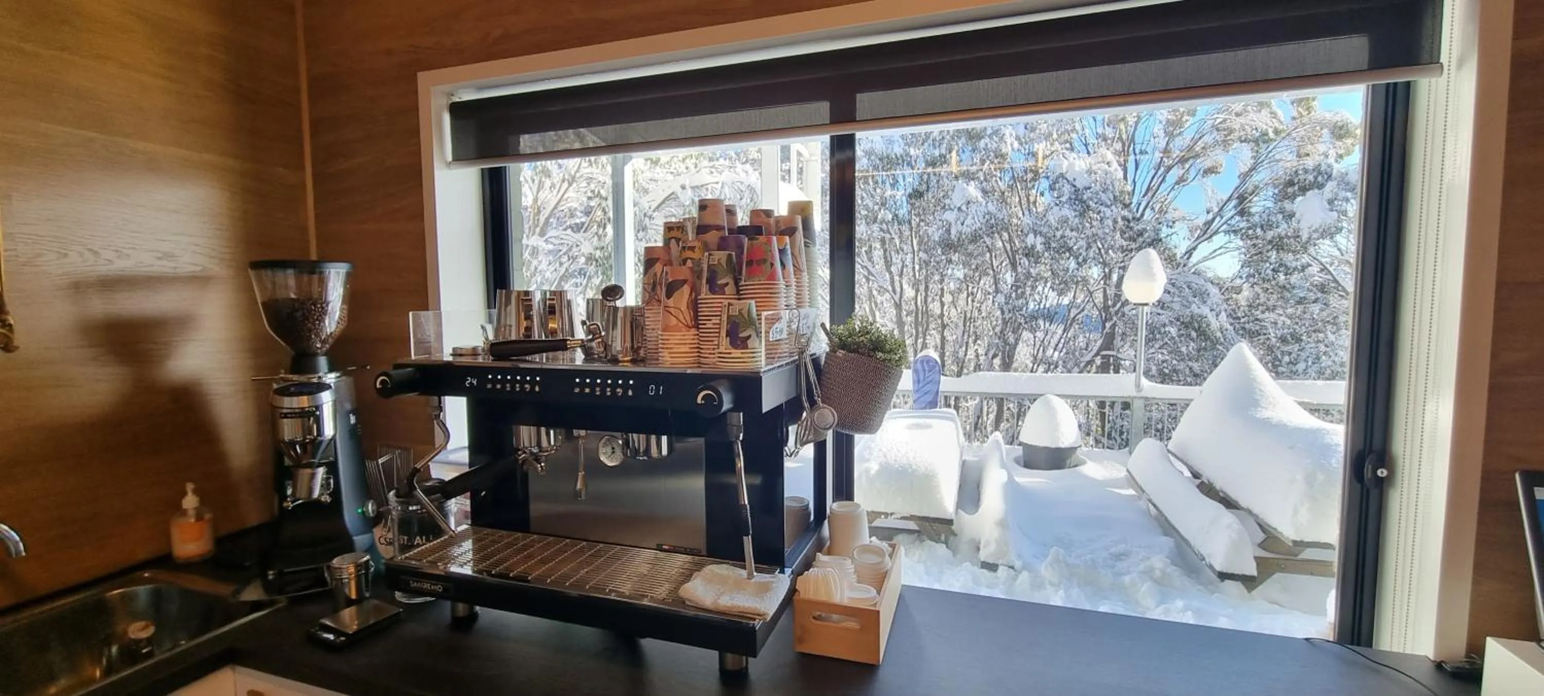 Cedarwood Apartments