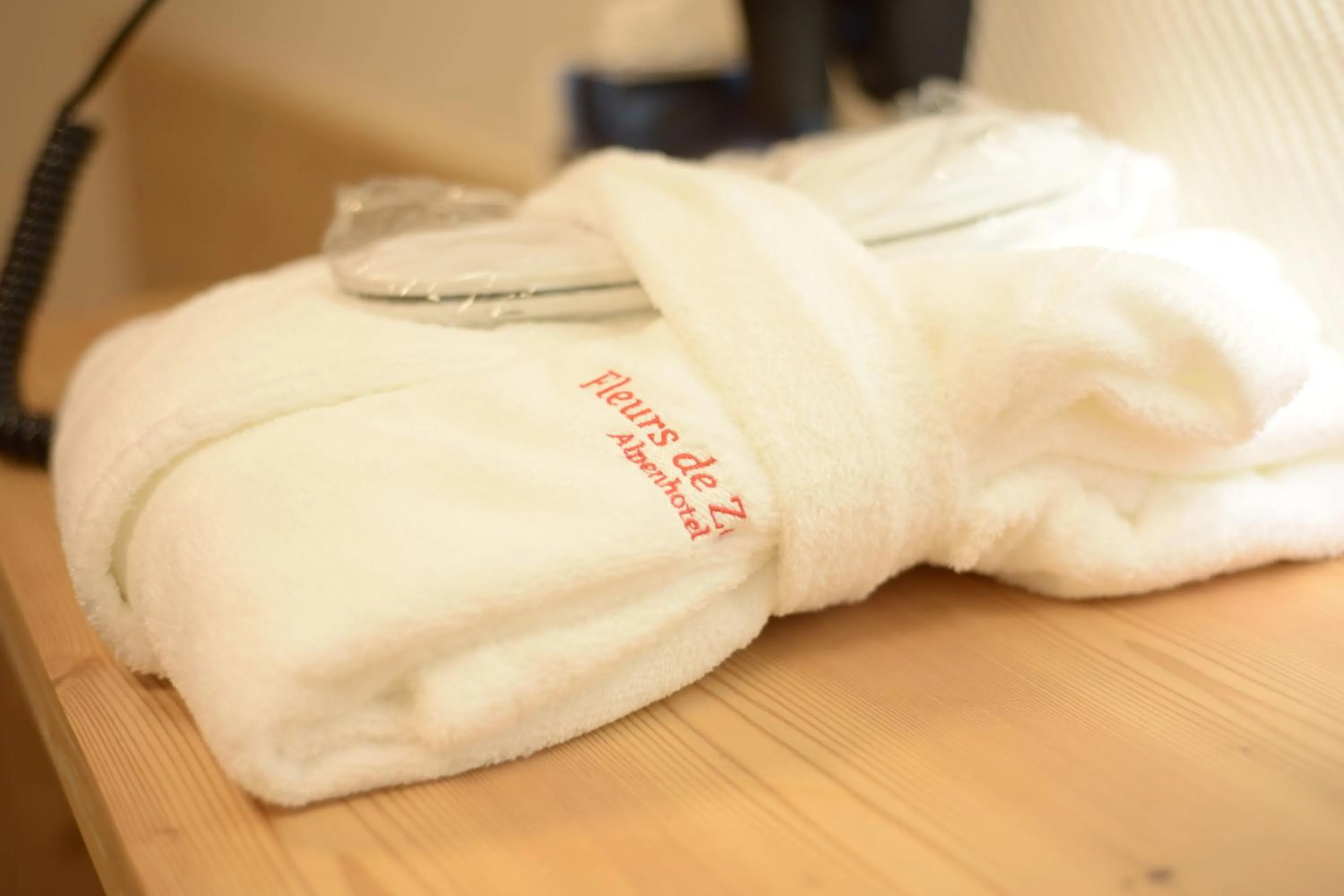 Other in Alpenhotel Fleurs de Zermatt