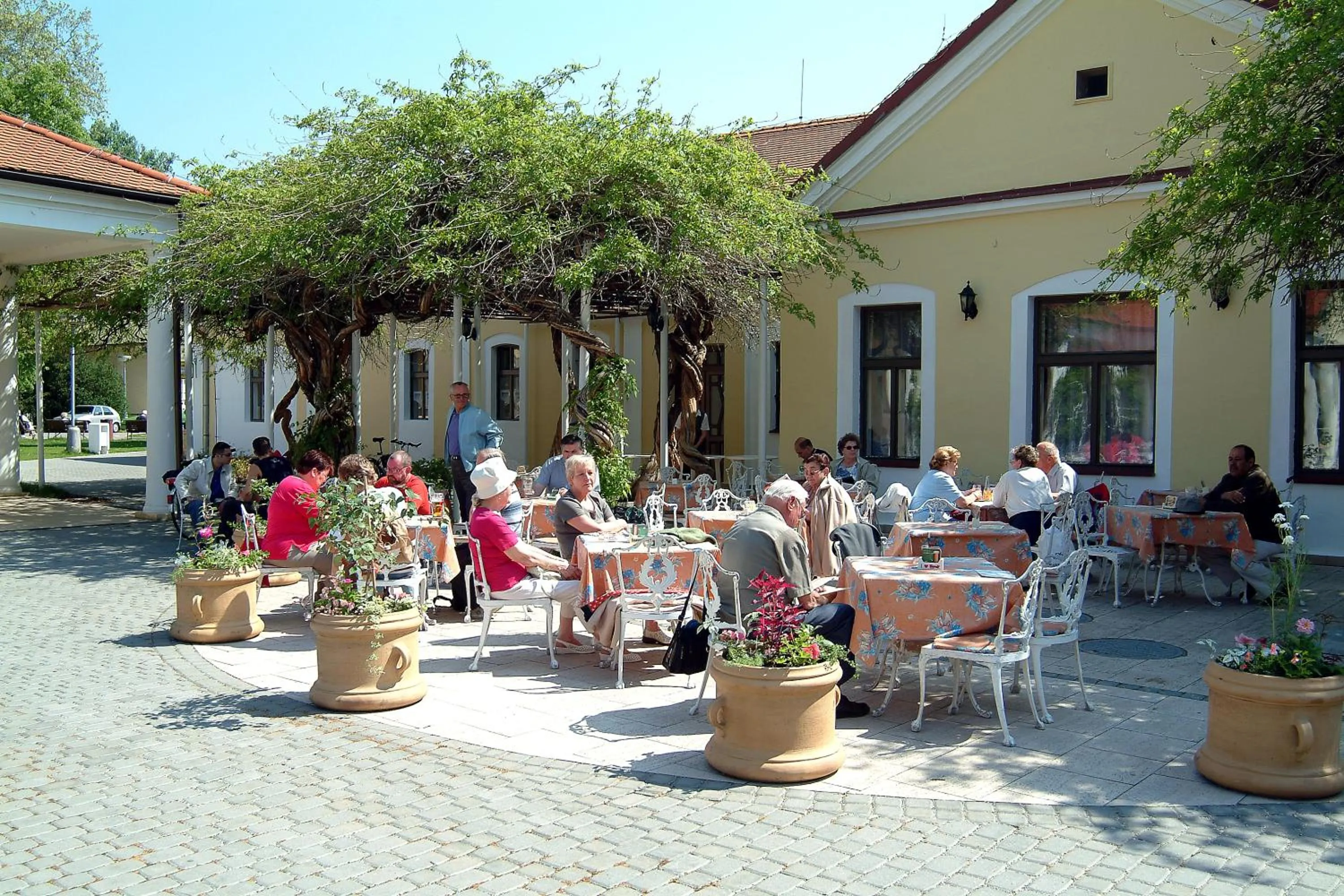 Area and facilities in Ensana Vila Trajan