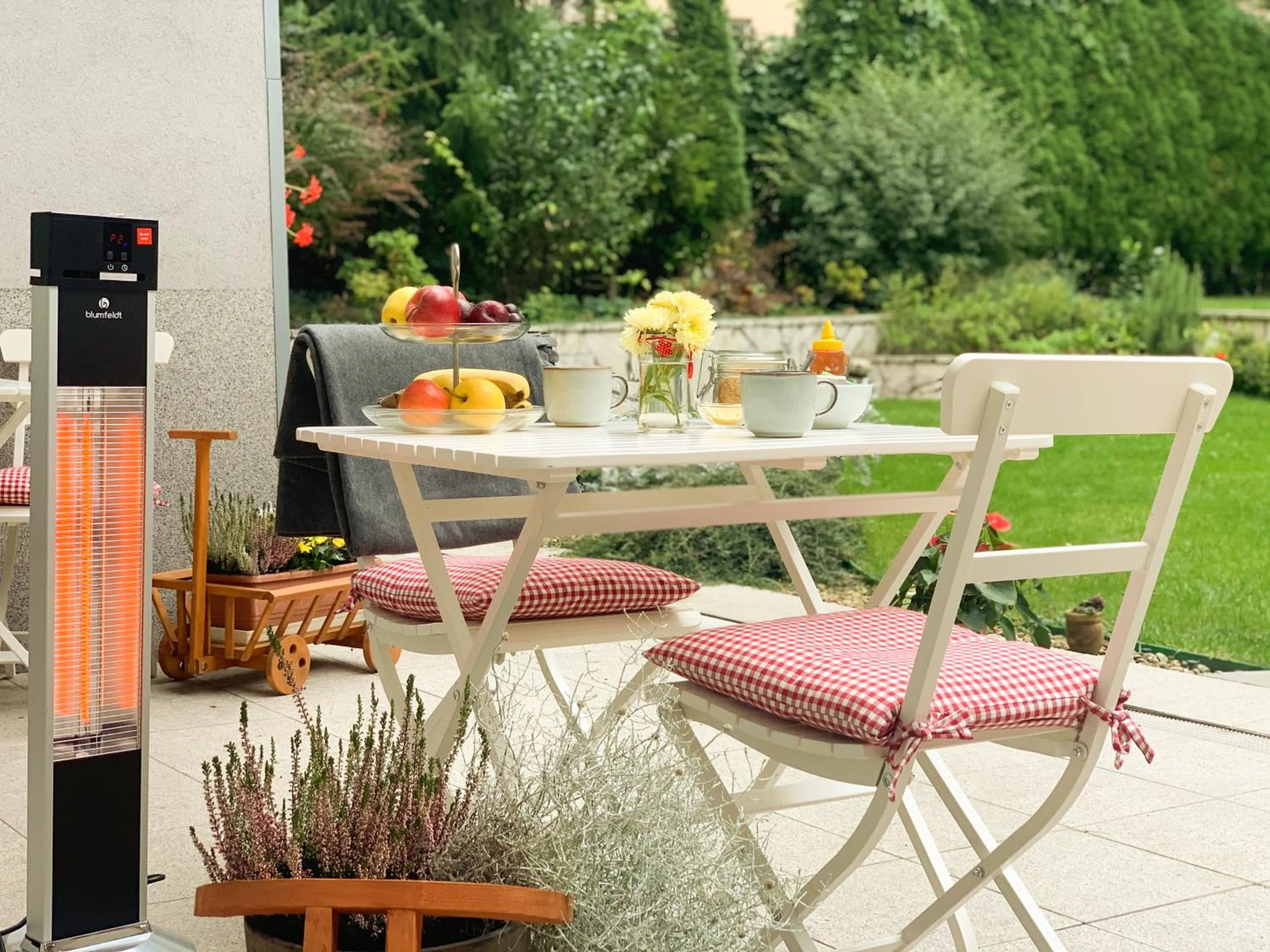 Garden in Hotel Arcus Garden