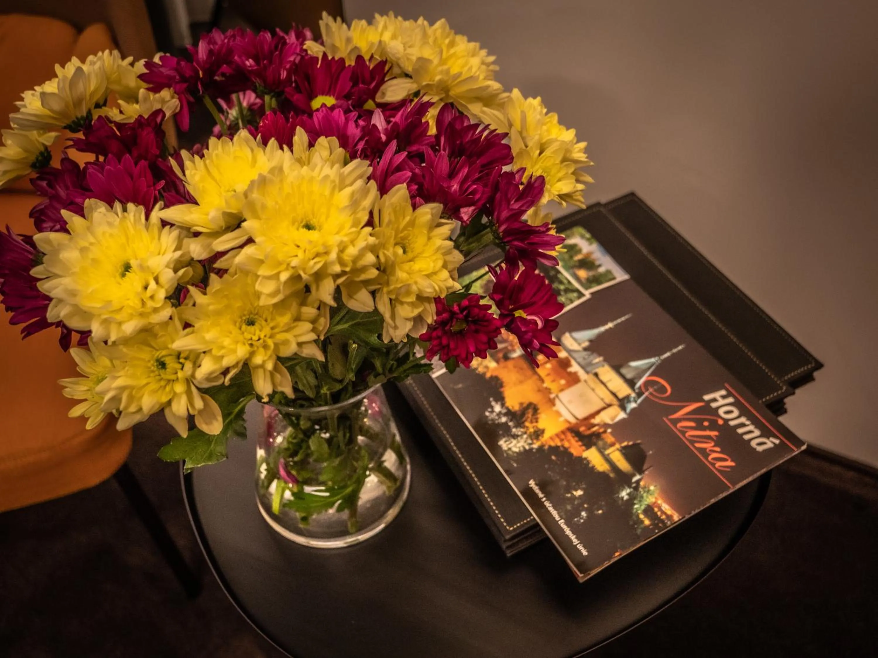 Property logo or sign in Hotel Novy Kastiel - Self check-in