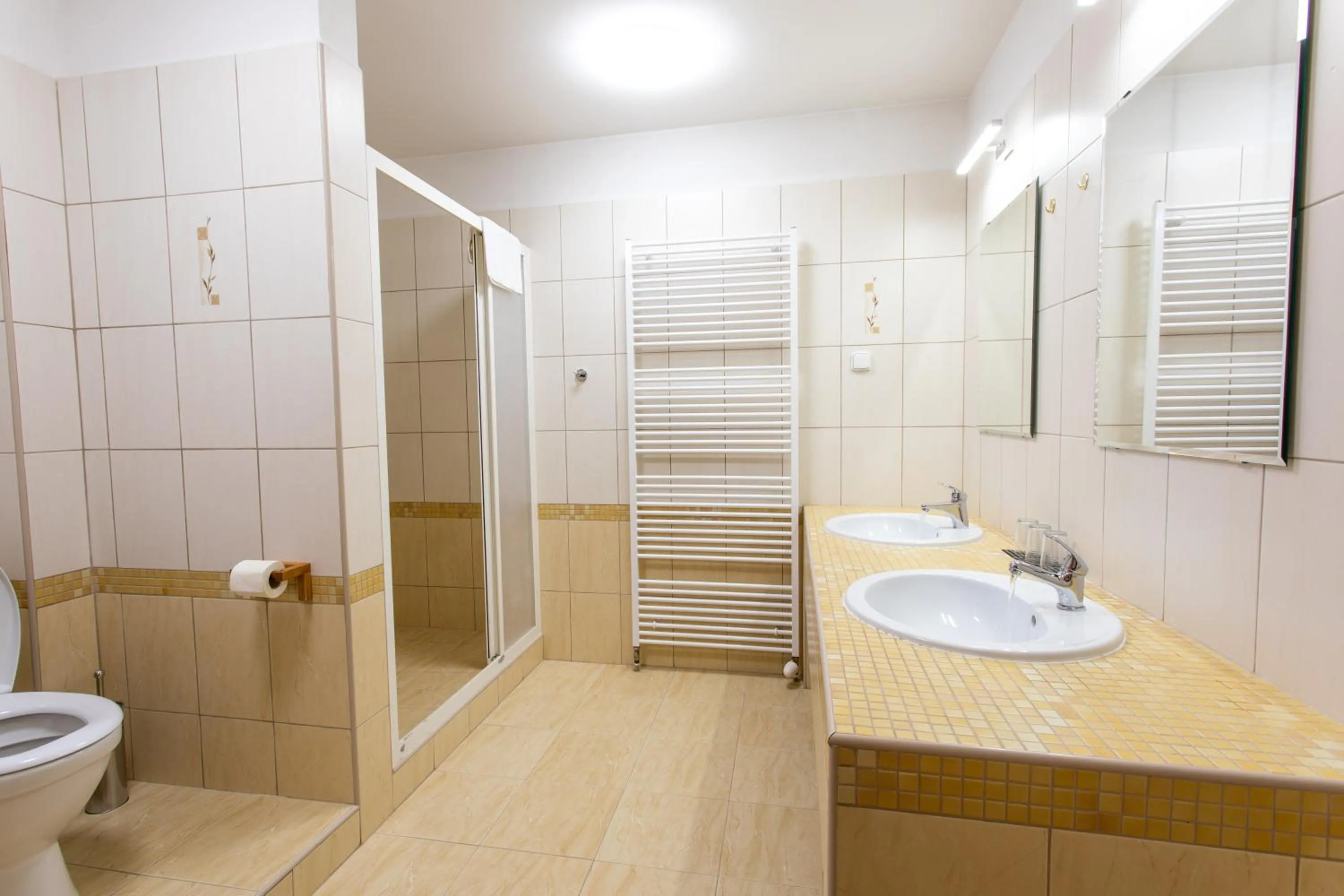 Shower in Hotel Novy Kastiel - Self check-in