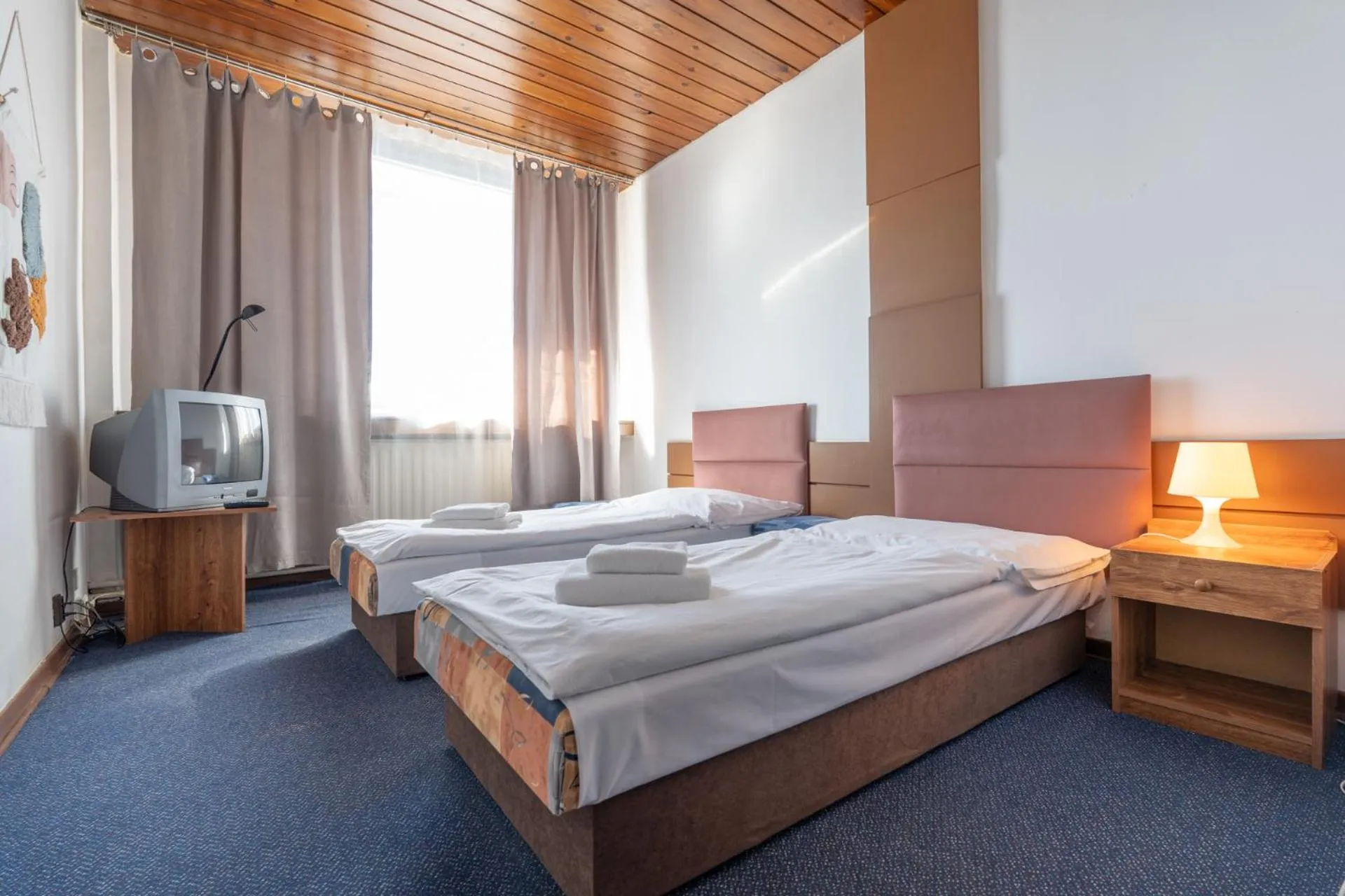 Twin Room in Hotel Slovakia