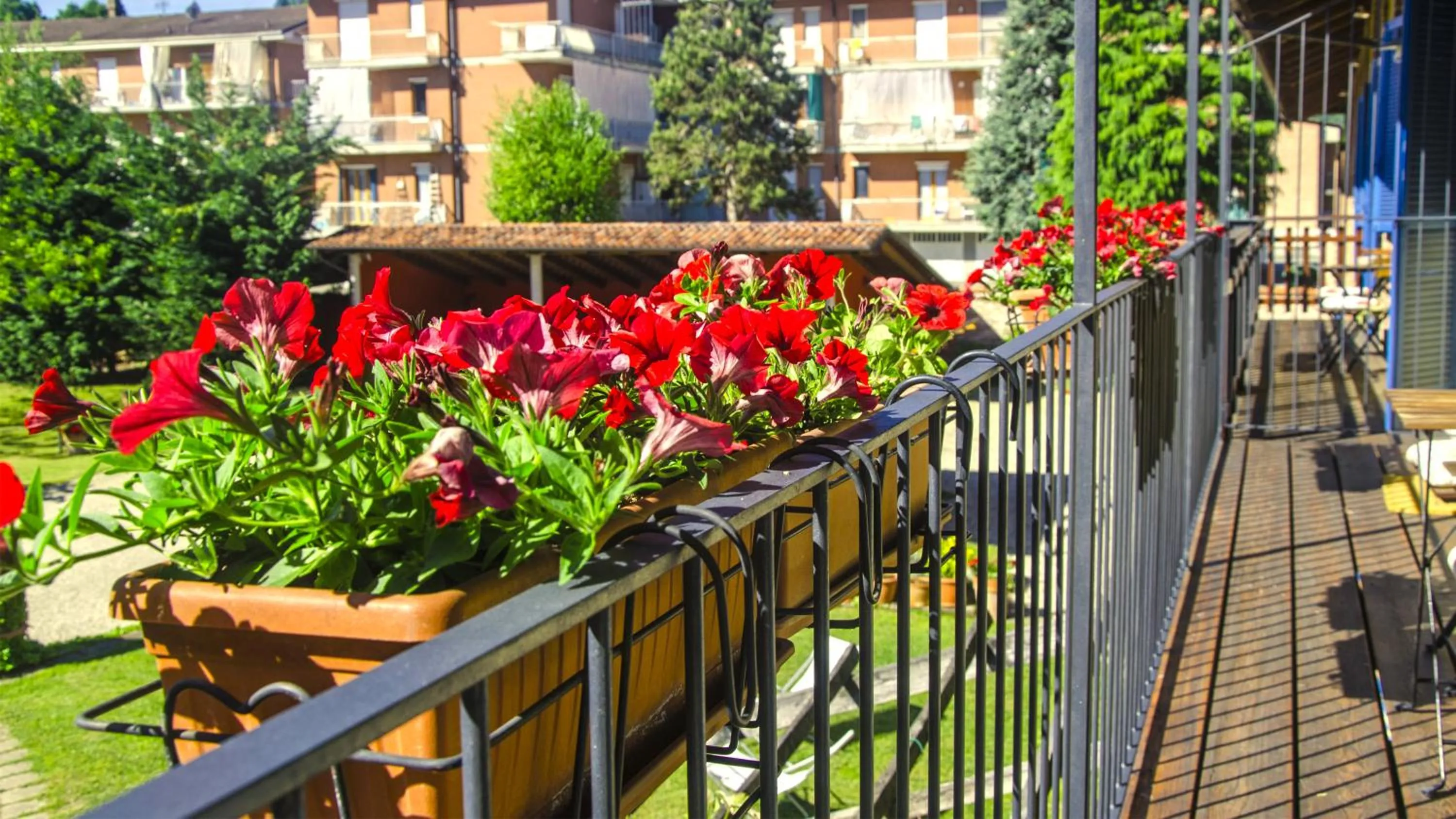 Day in Antico Casale Mattei - Adult only