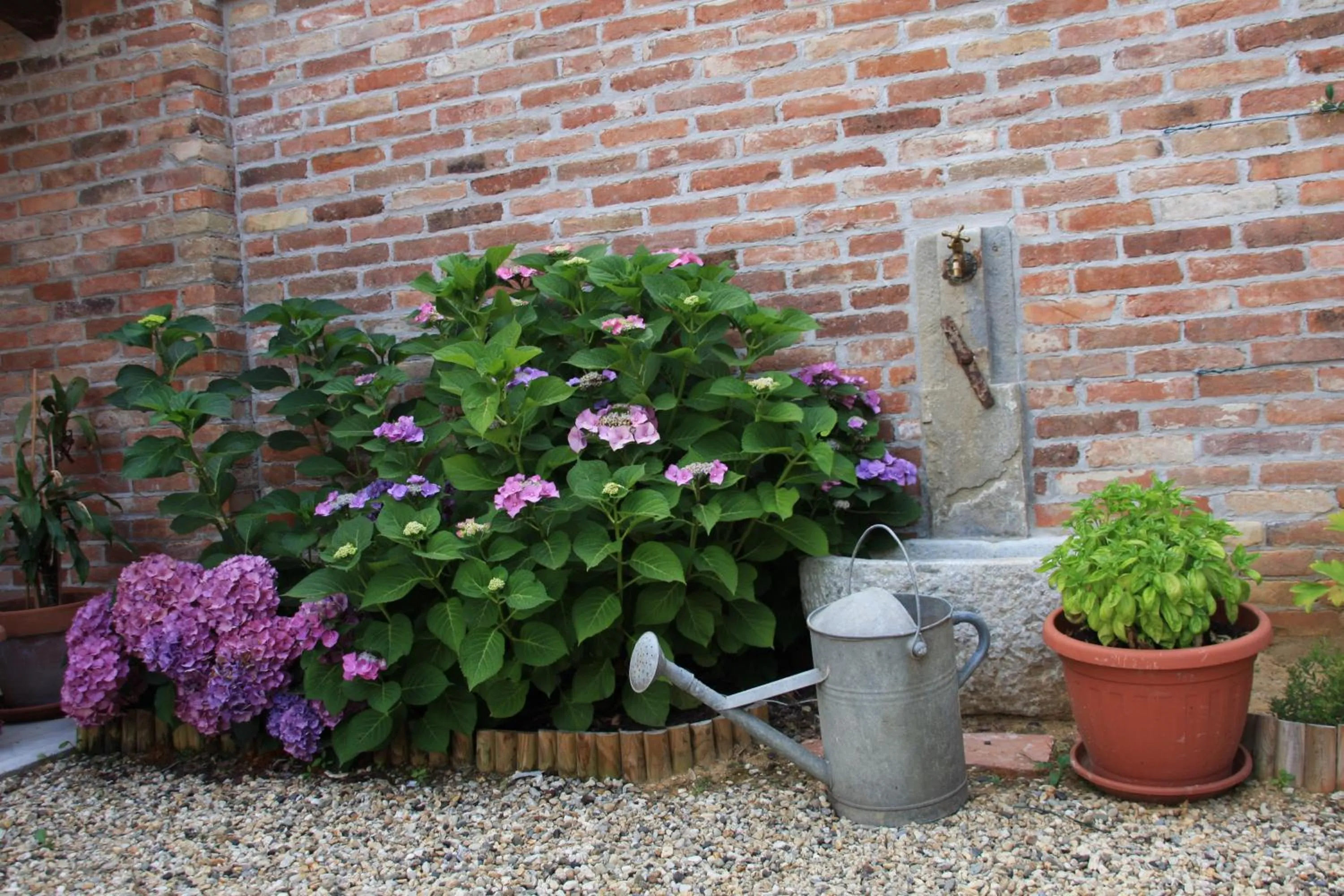 Decorative detail in Antico Casale Mattei - Adult only