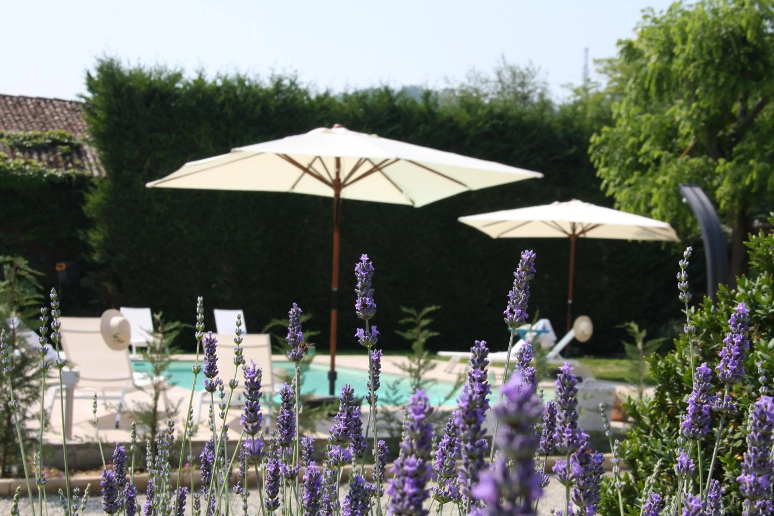 Garden in Antico Casale Mattei - Adult only