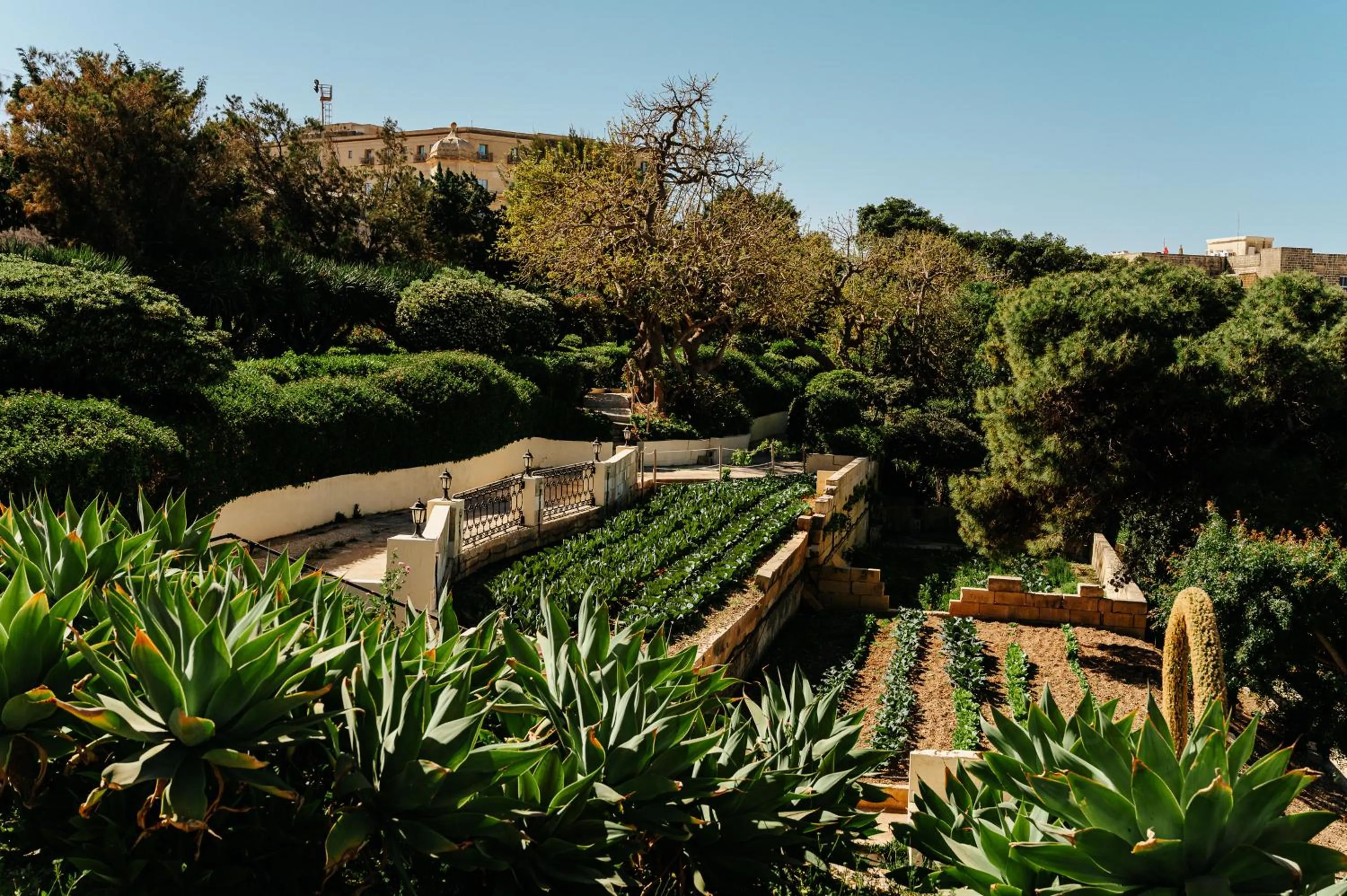 Day in The Phoenicia Malta - The Leading Hotels of the World