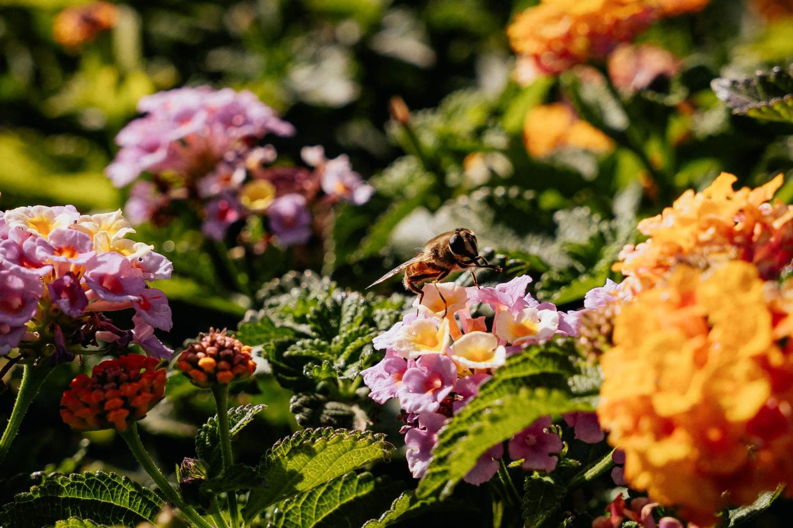 Day in The Phoenicia Malta - The Leading Hotels of the World