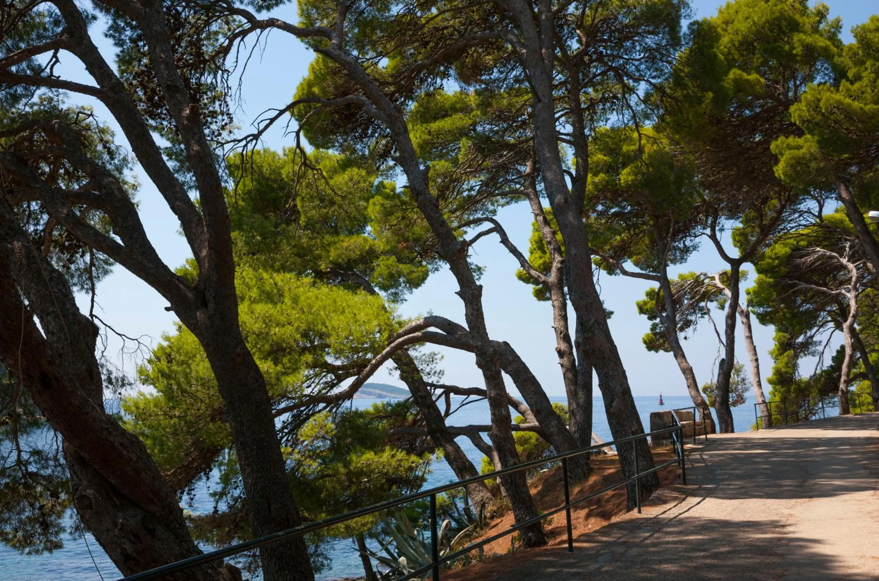 Area and facilities in Remisens Hotel Albatros-All inclusive