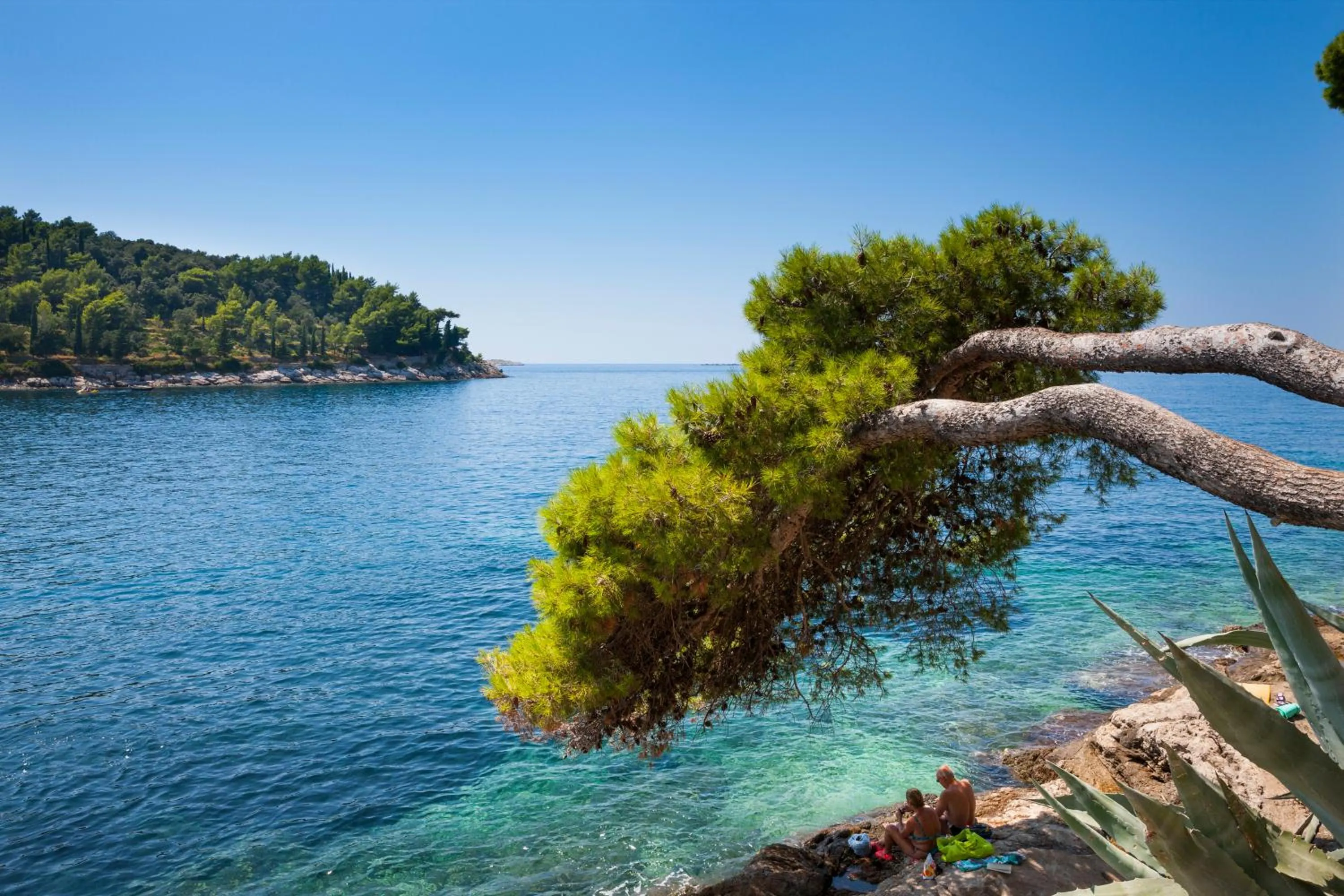 Area and facilities in Remisens Hotel Albatros-All inclusive