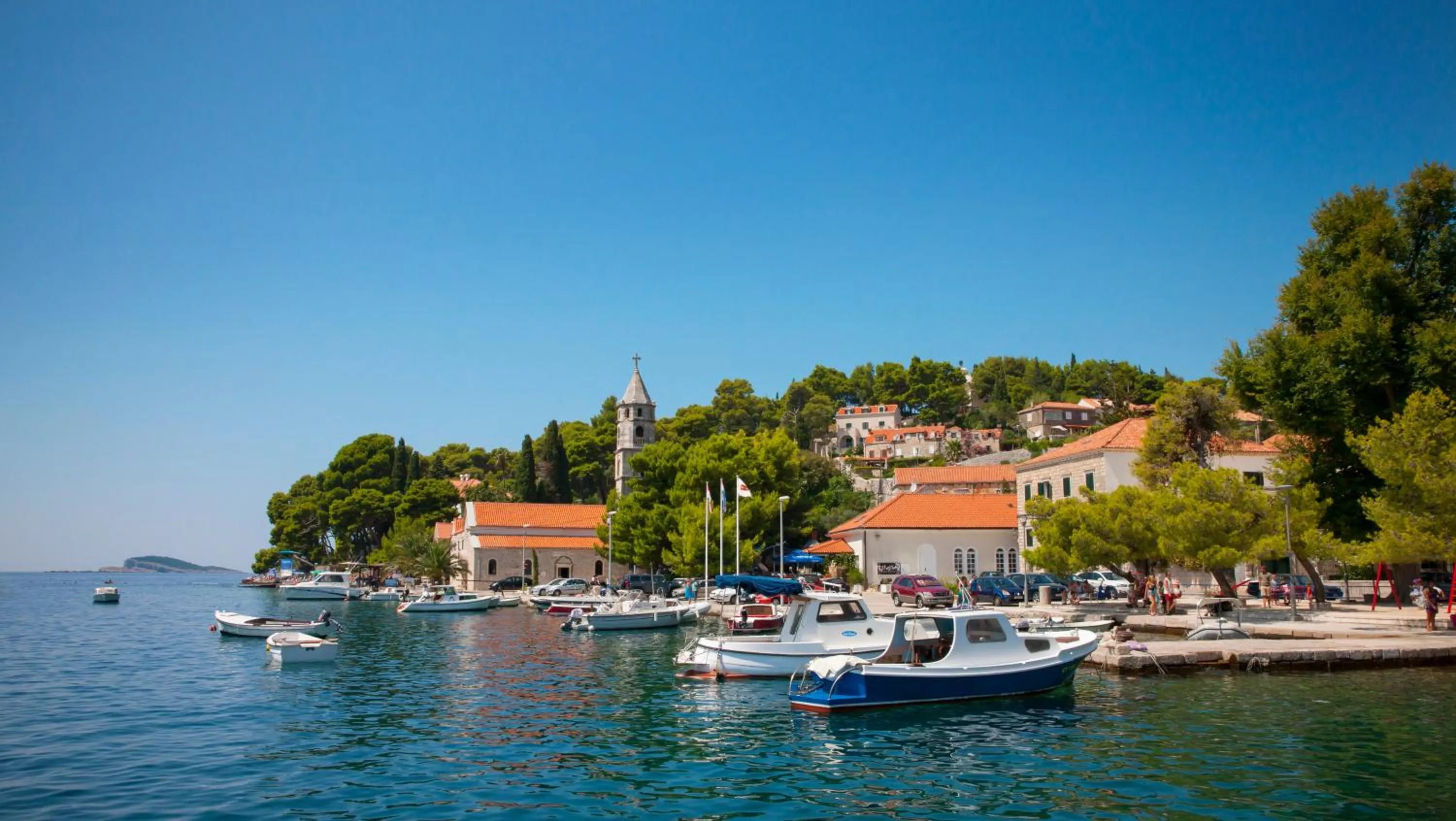 Area and facilities in Remisens Hotel Albatros-All inclusive