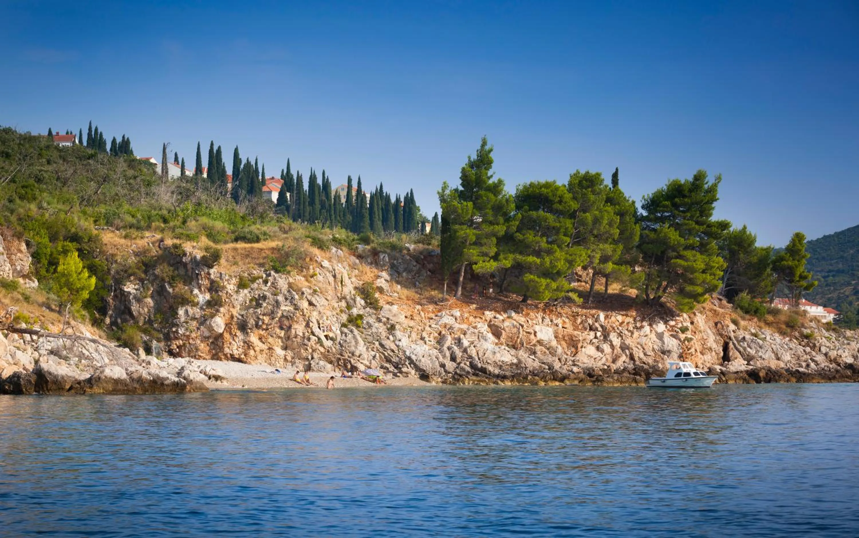 Area and facilities in Remisens Hotel Albatros-All inclusive