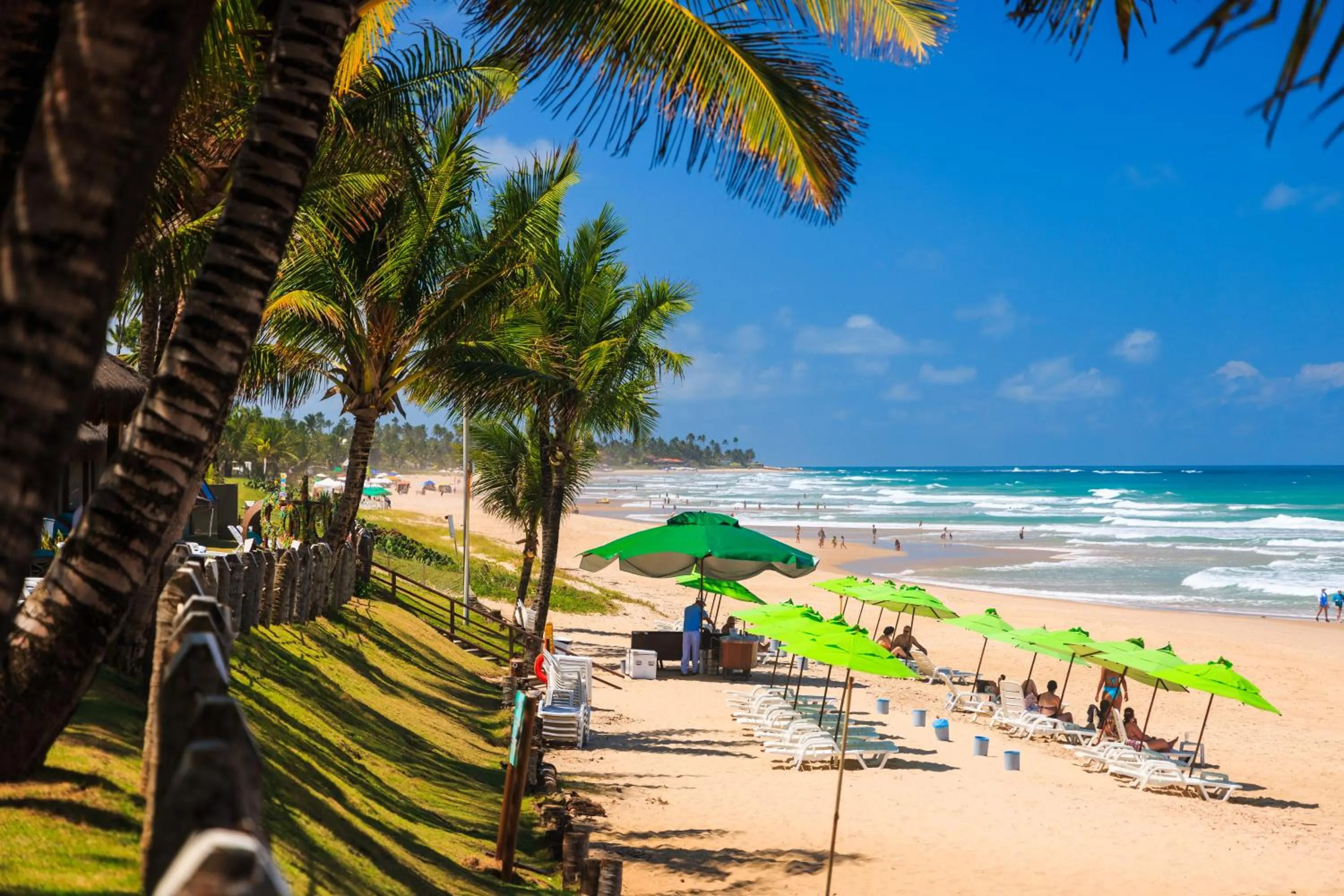 Natural landscape in Hotel Solar Porto de Galinhas