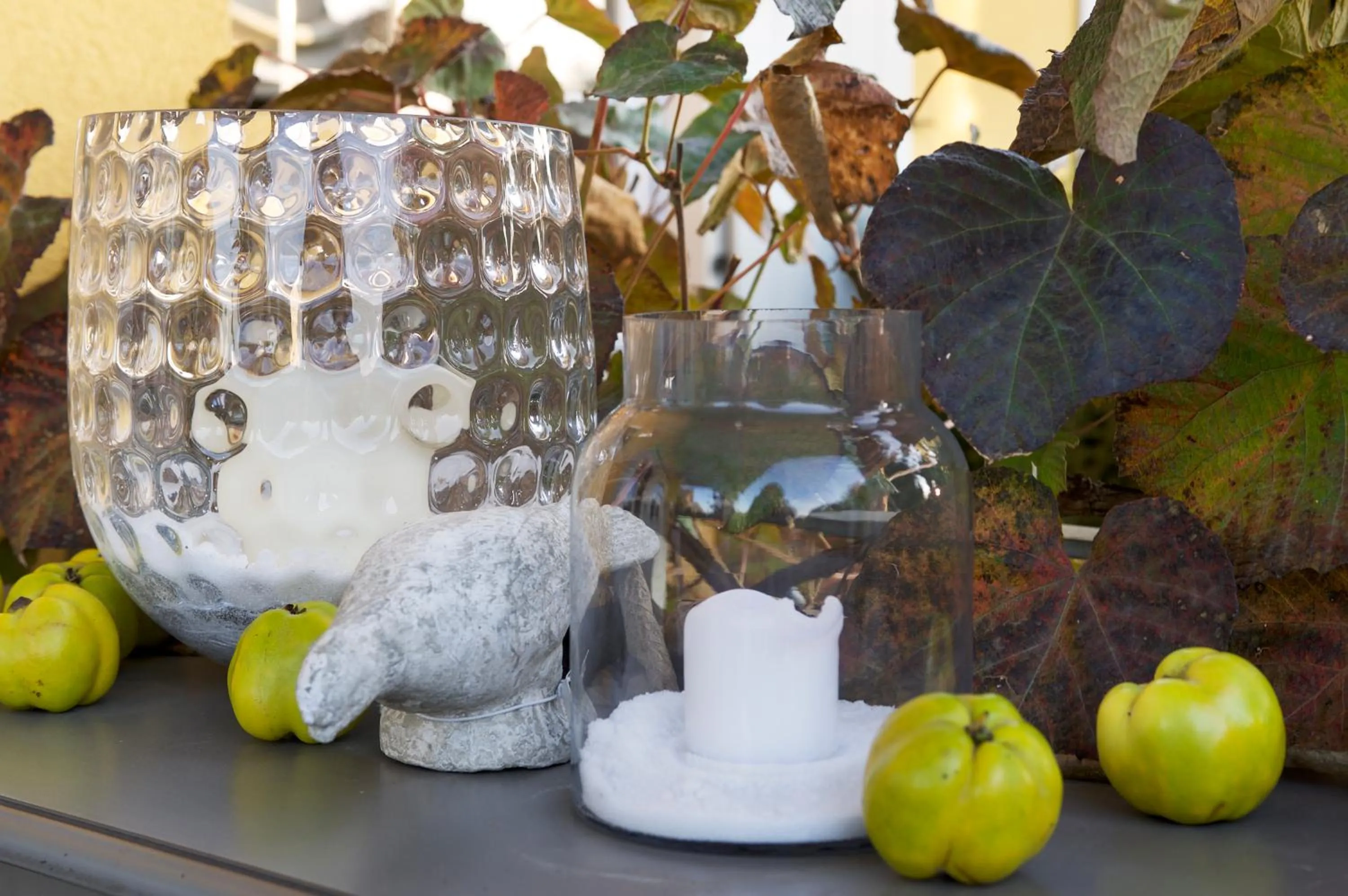 Garden in Hotel VILLINO