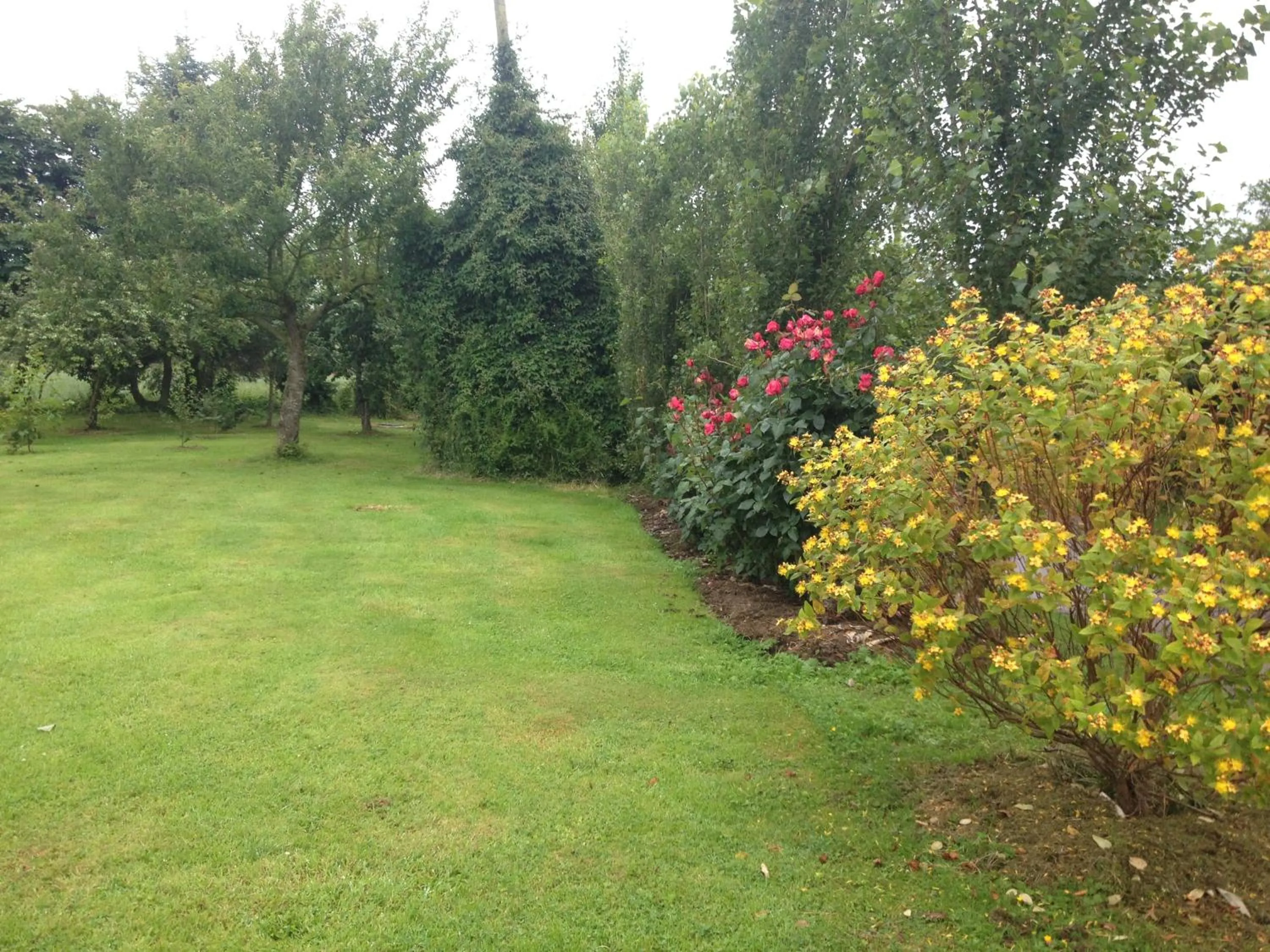 Garden in Lisieux House on Lough Neagh