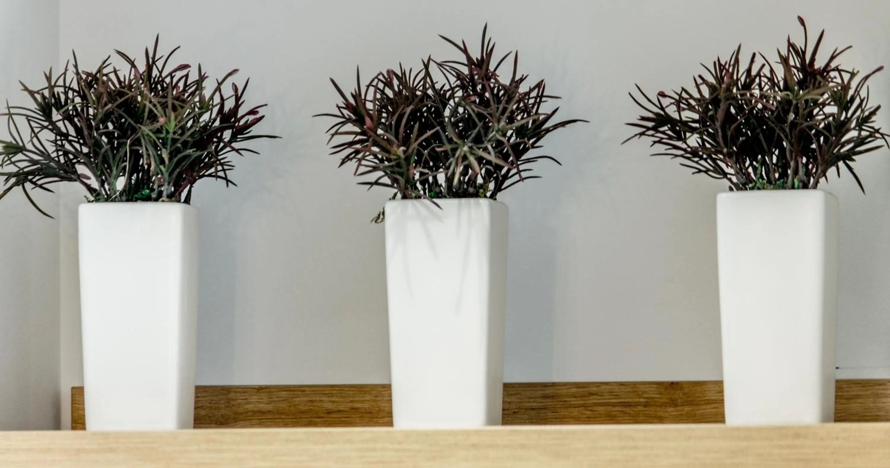 Decorative detail in Margaret of Naxos