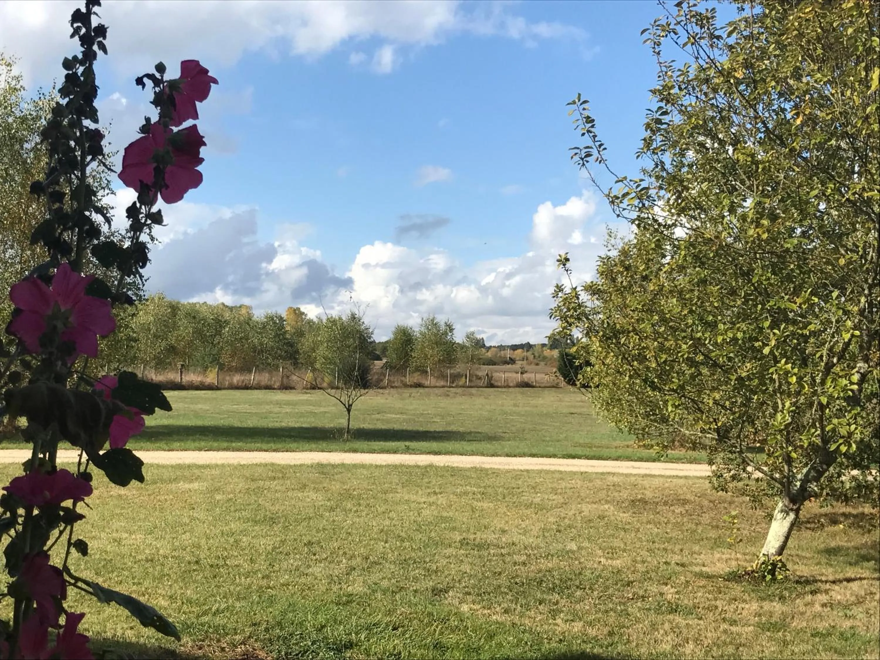 Property building in La Levraudière