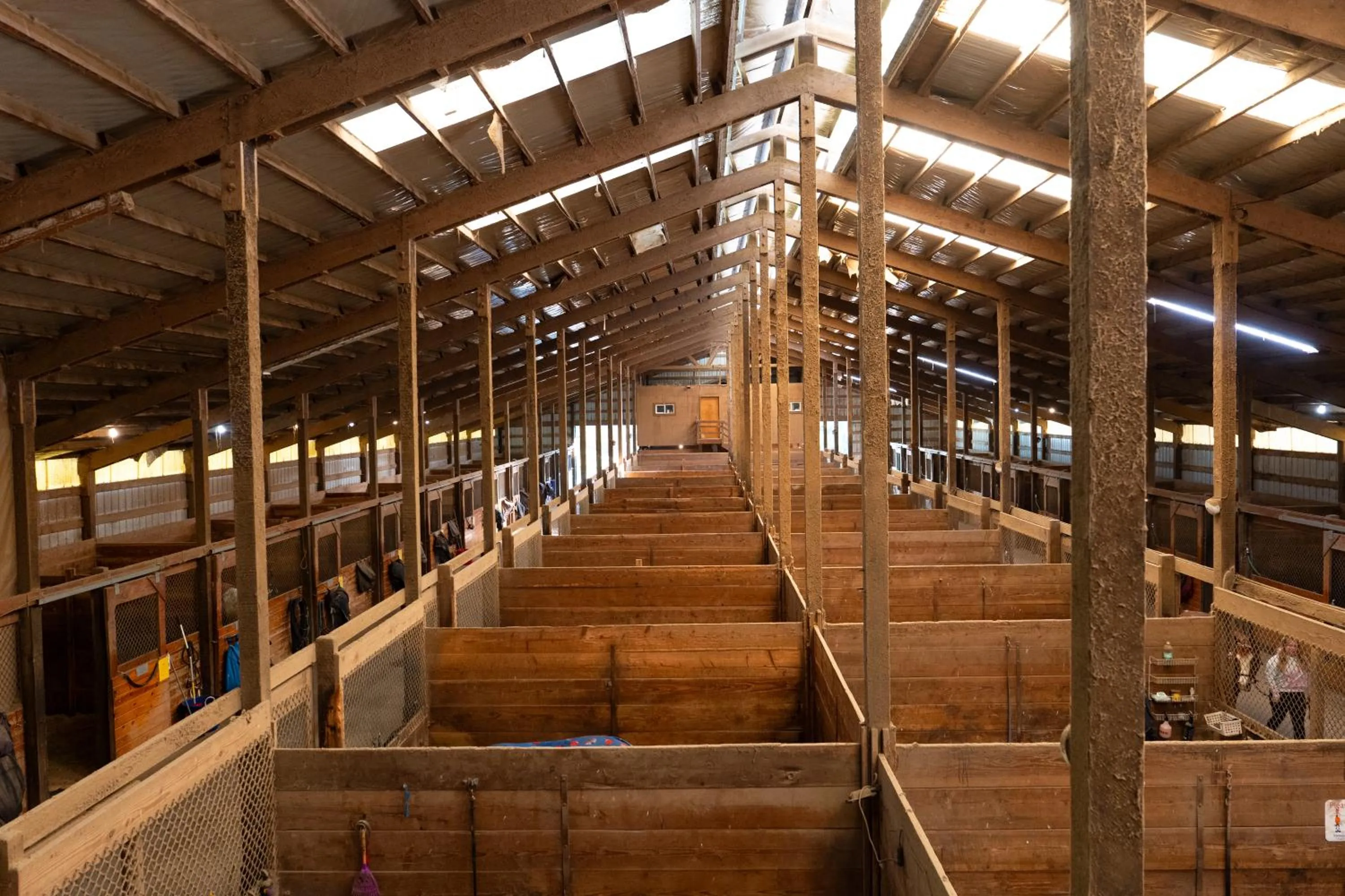 Wildwood Farm Bed & Breakfast