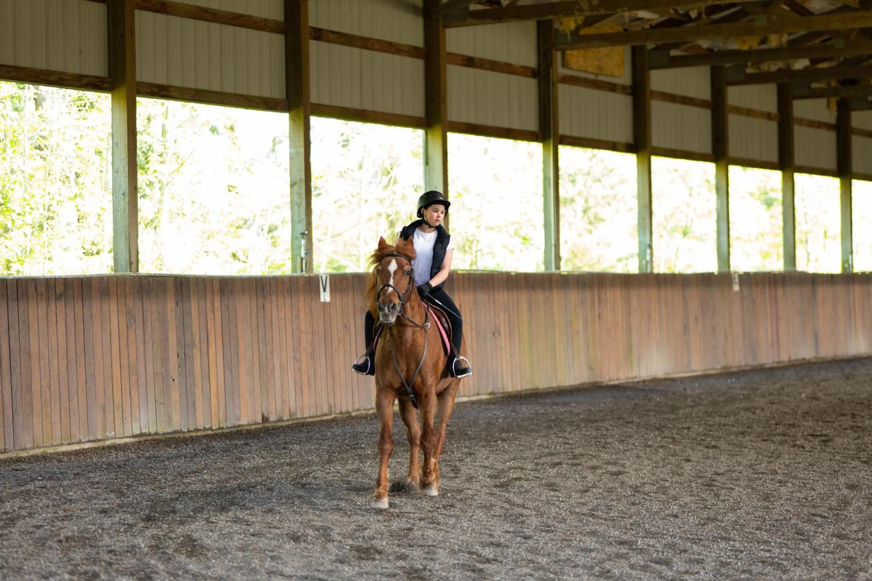 Wildwood Farm Bed & Breakfast