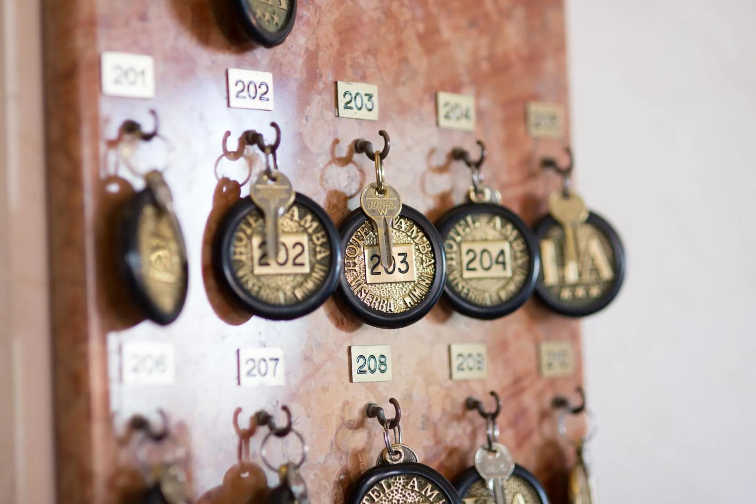 Activities in Amba Hotel