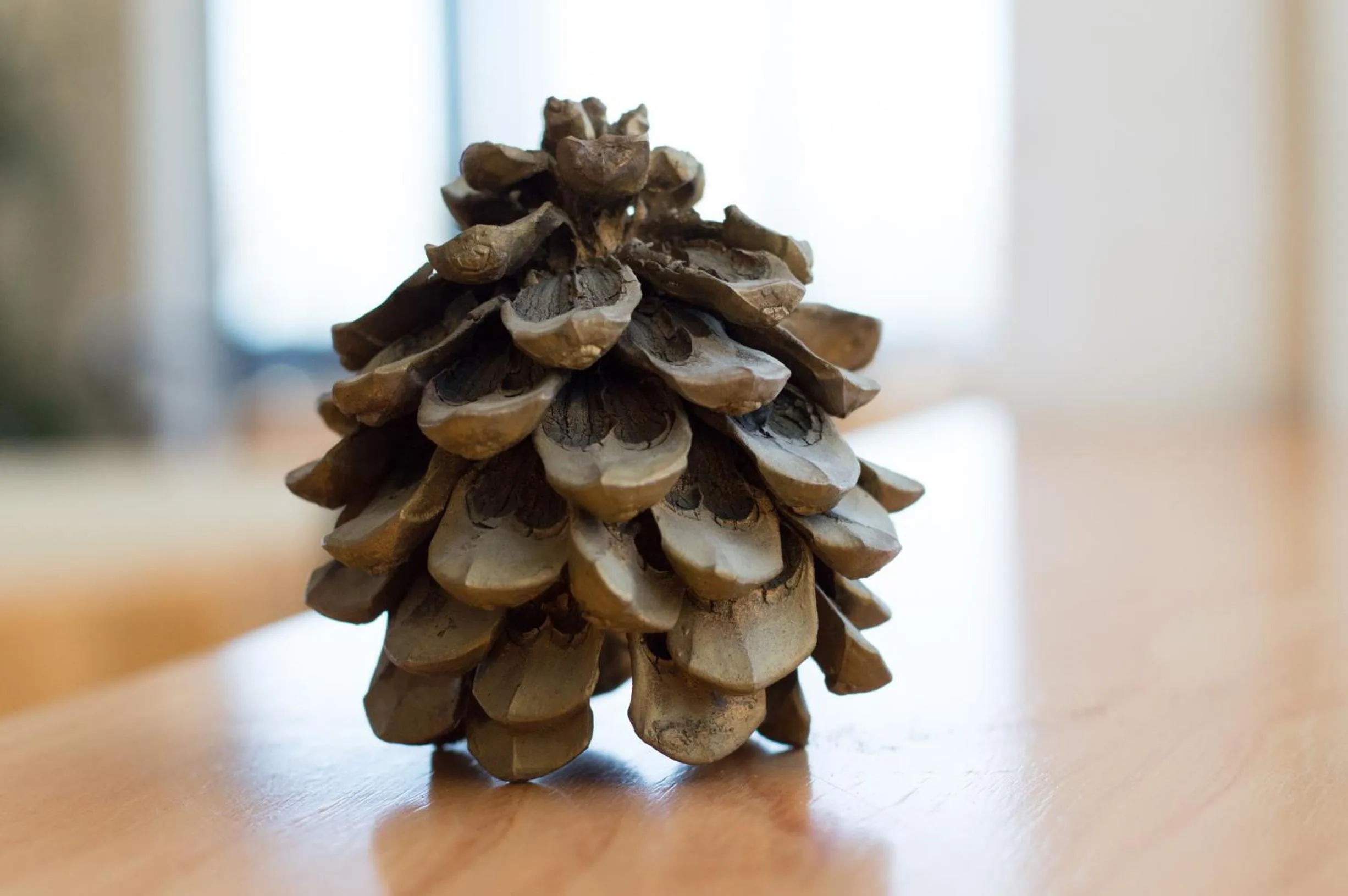 Banquet/Function facilities in Amba Hotel