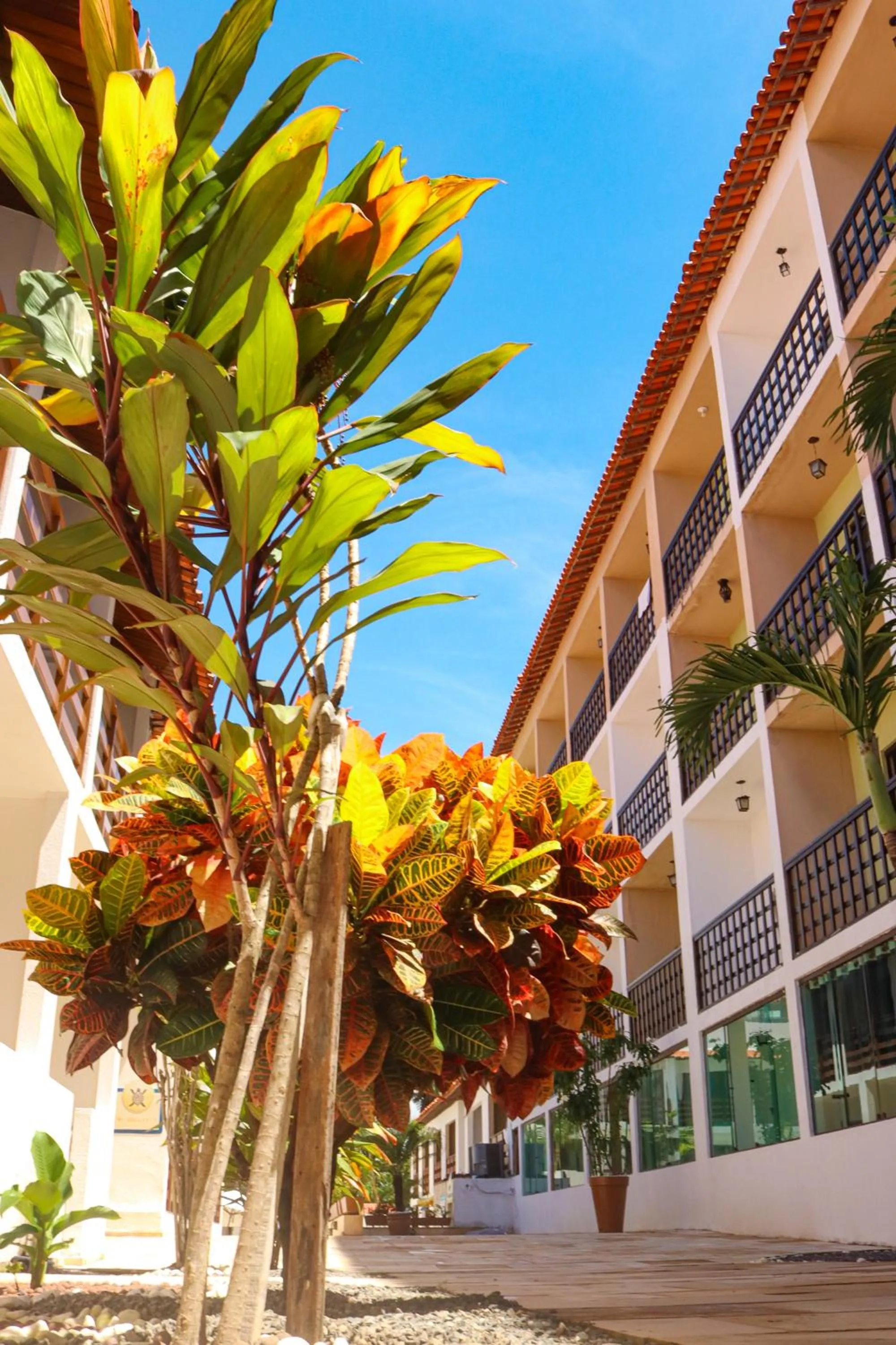 Garden in Estação do Sol Praia Hotel