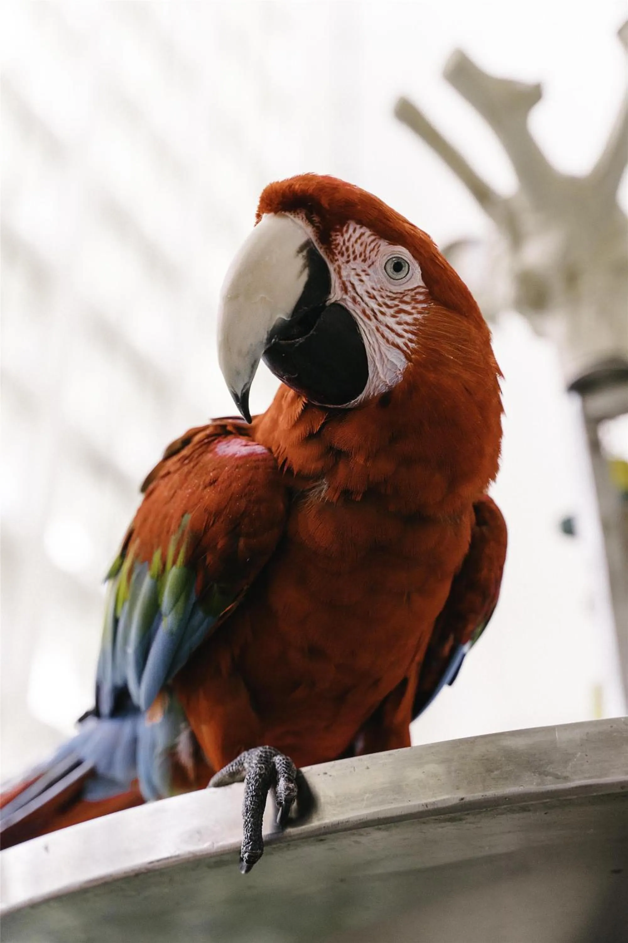 Lobby or reception in Hyatt Regency Grand Cypress Resort - Free Shuttle to Theme Parks!