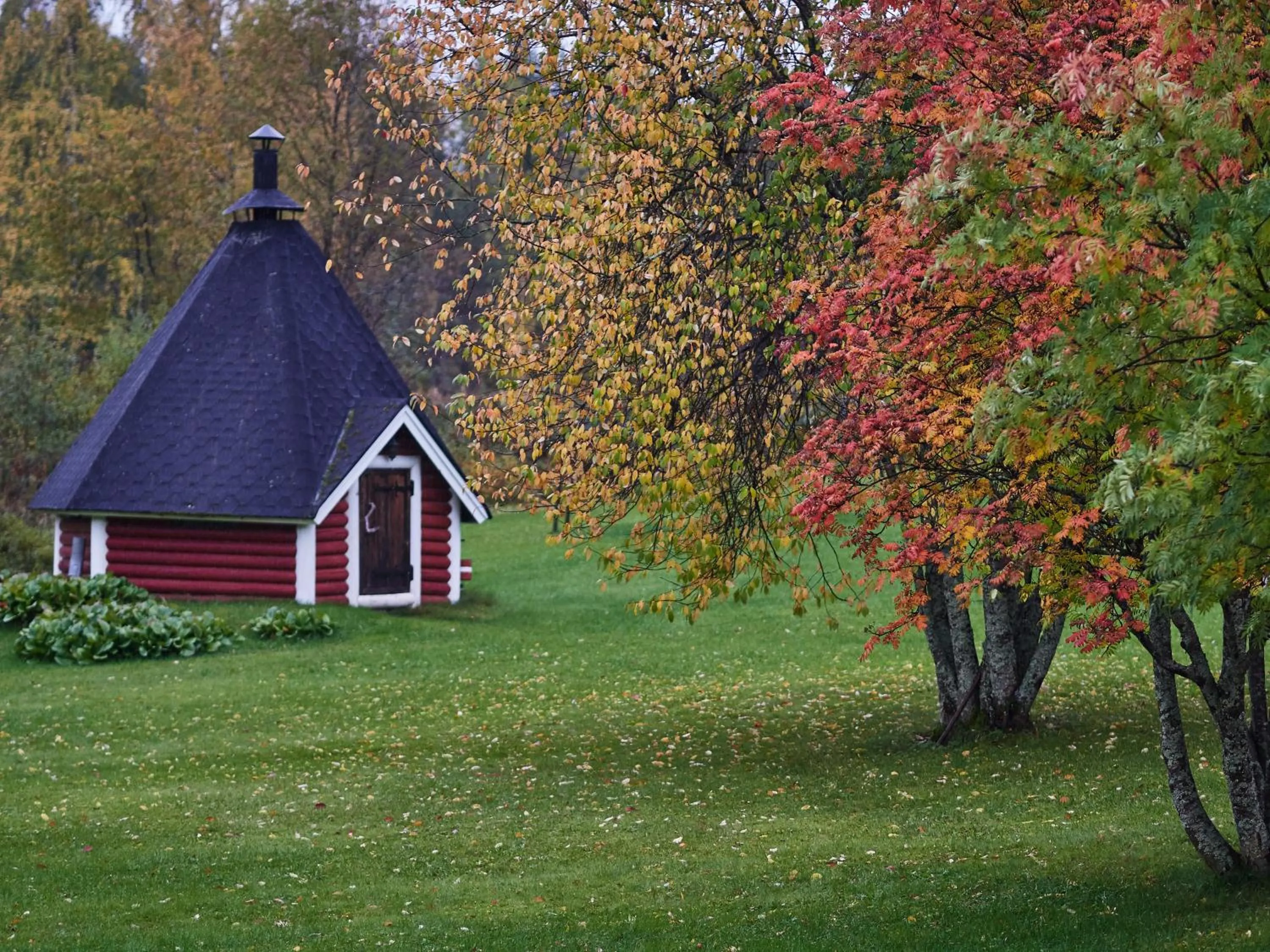 BBQ facilities in Hotelli Pielinen
