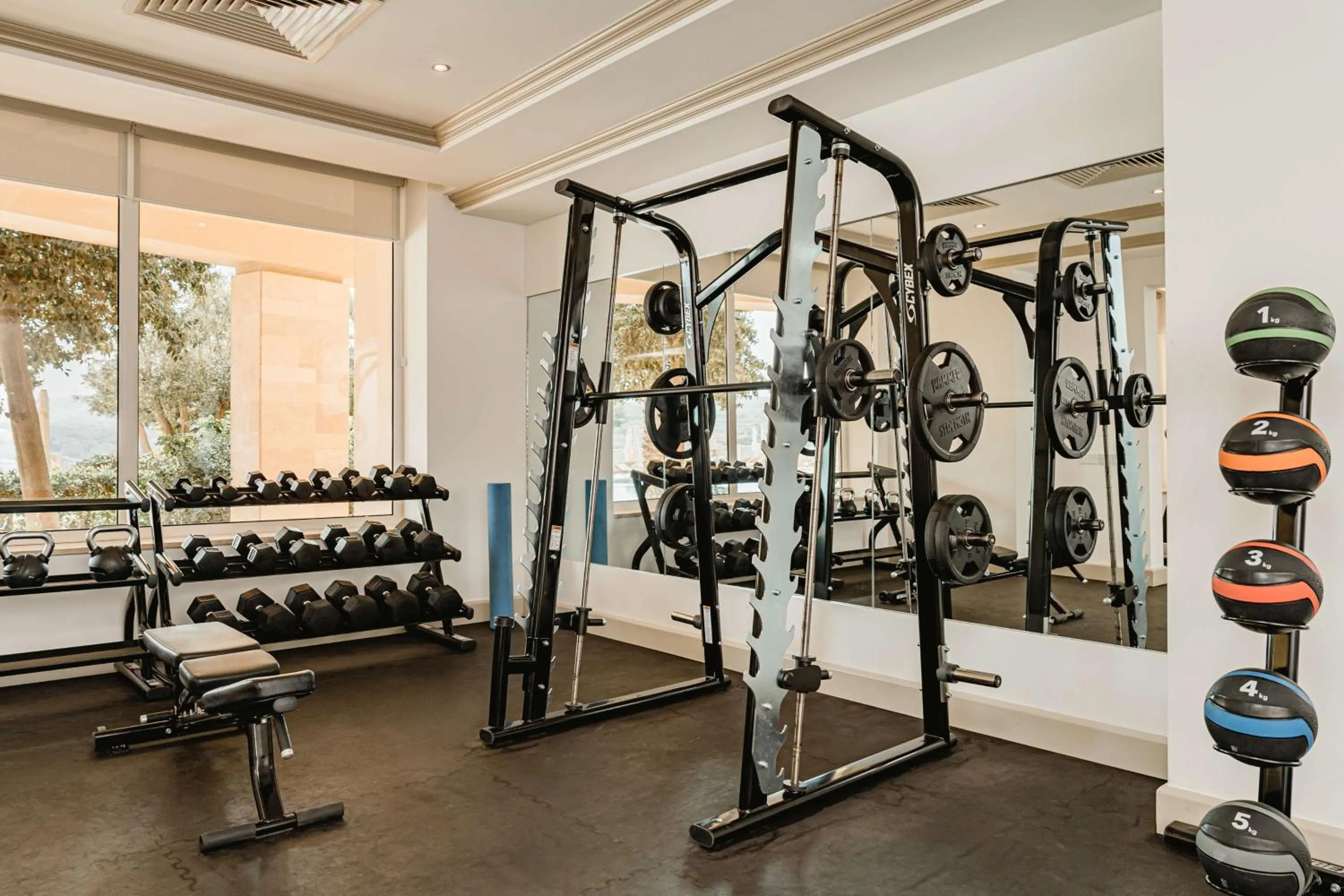 Fitness centre/facilities in Radisson Blu Resort & Spa, Malta Golden Sands