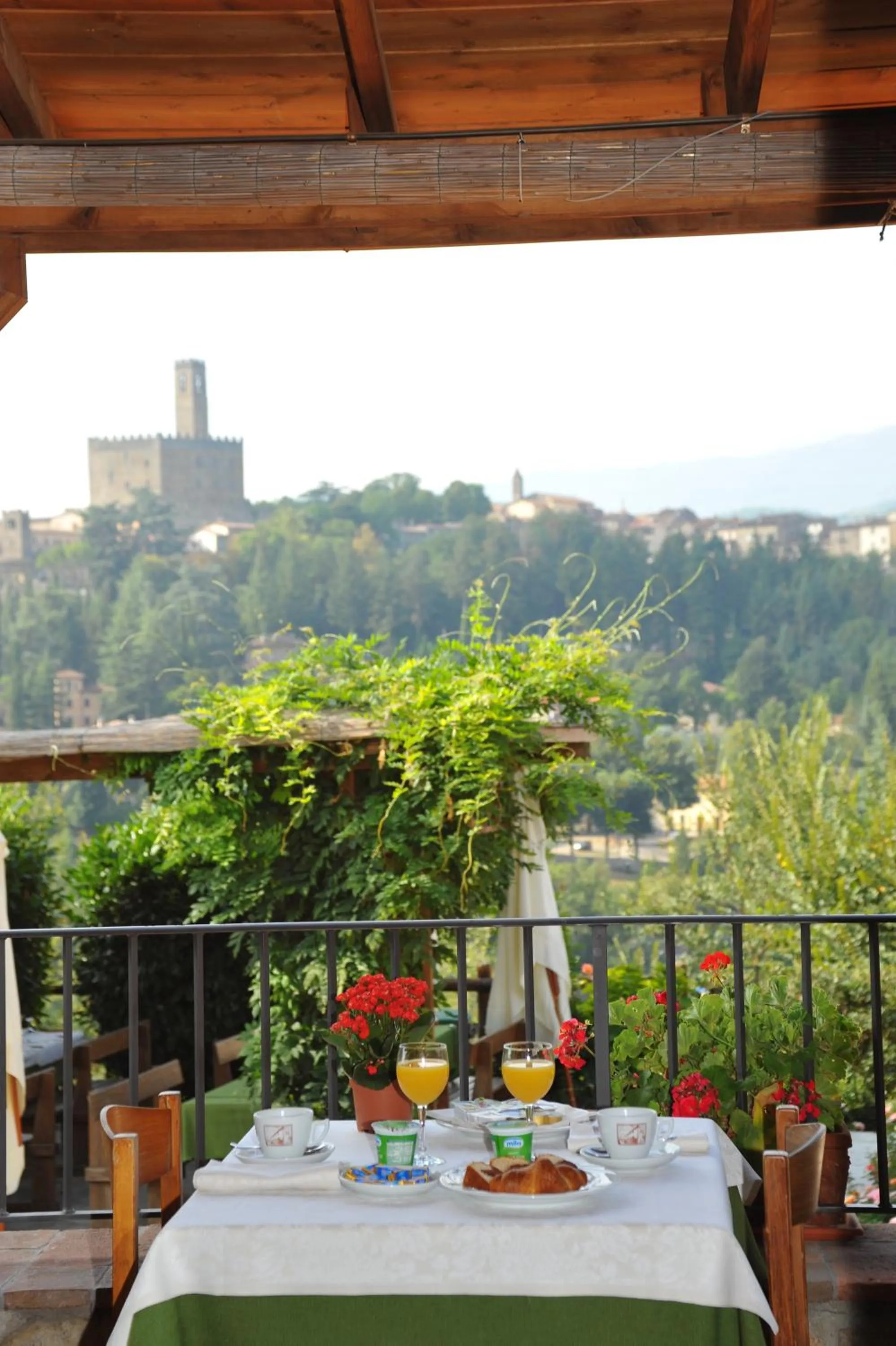 View (from property/room) in Albergo Ristorante La Torricella