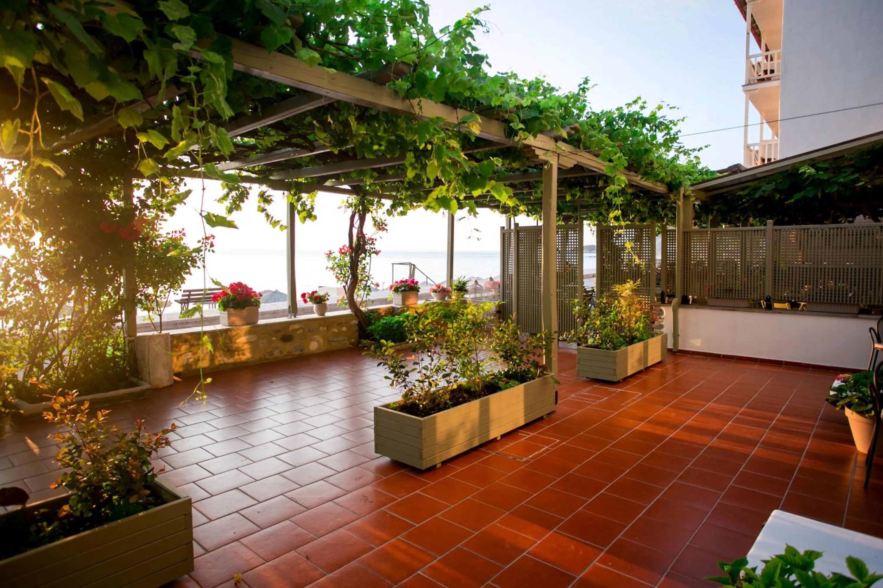 Garden in Kenta Beach Hotel