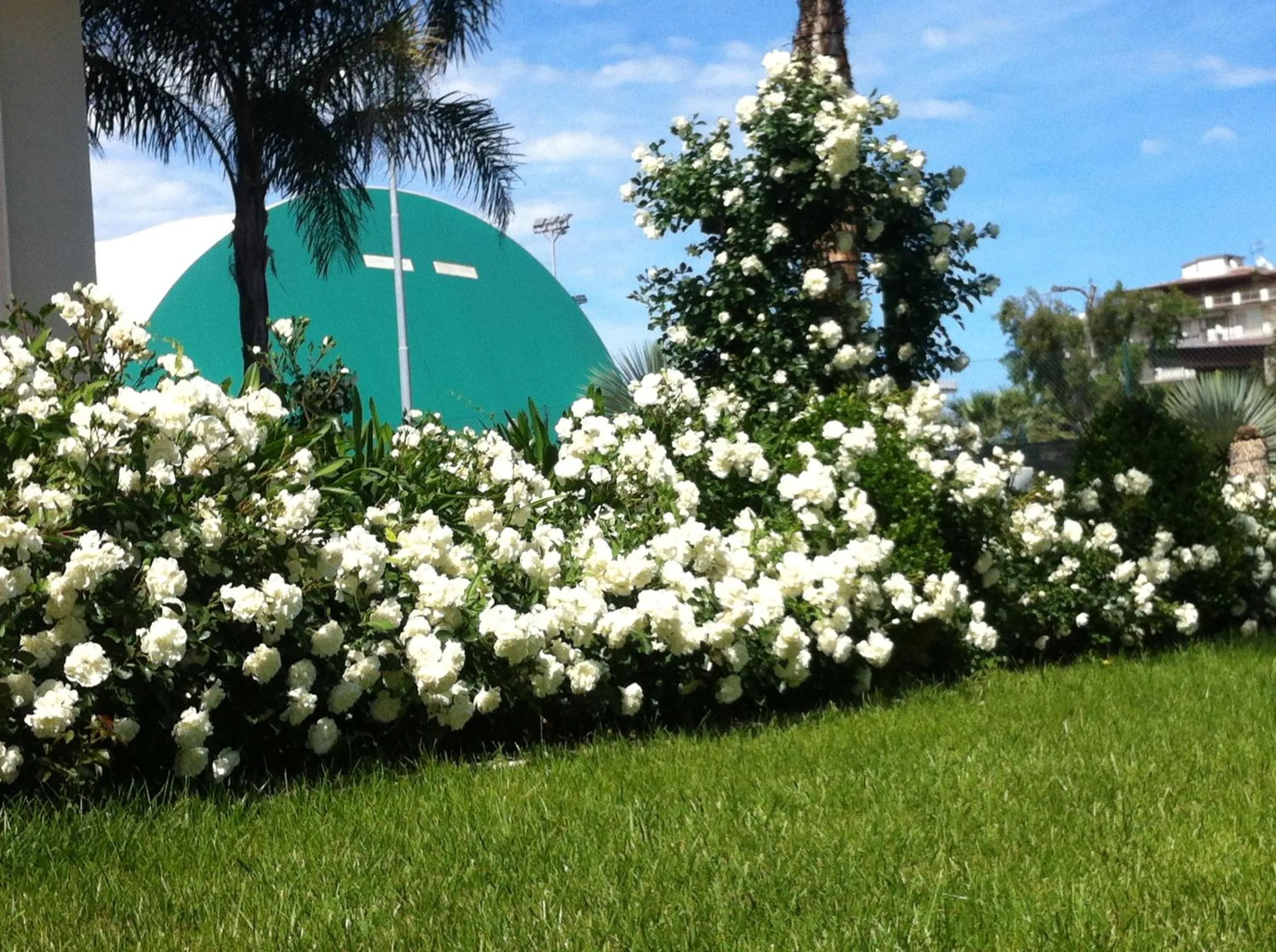 Day in Olympus Resort