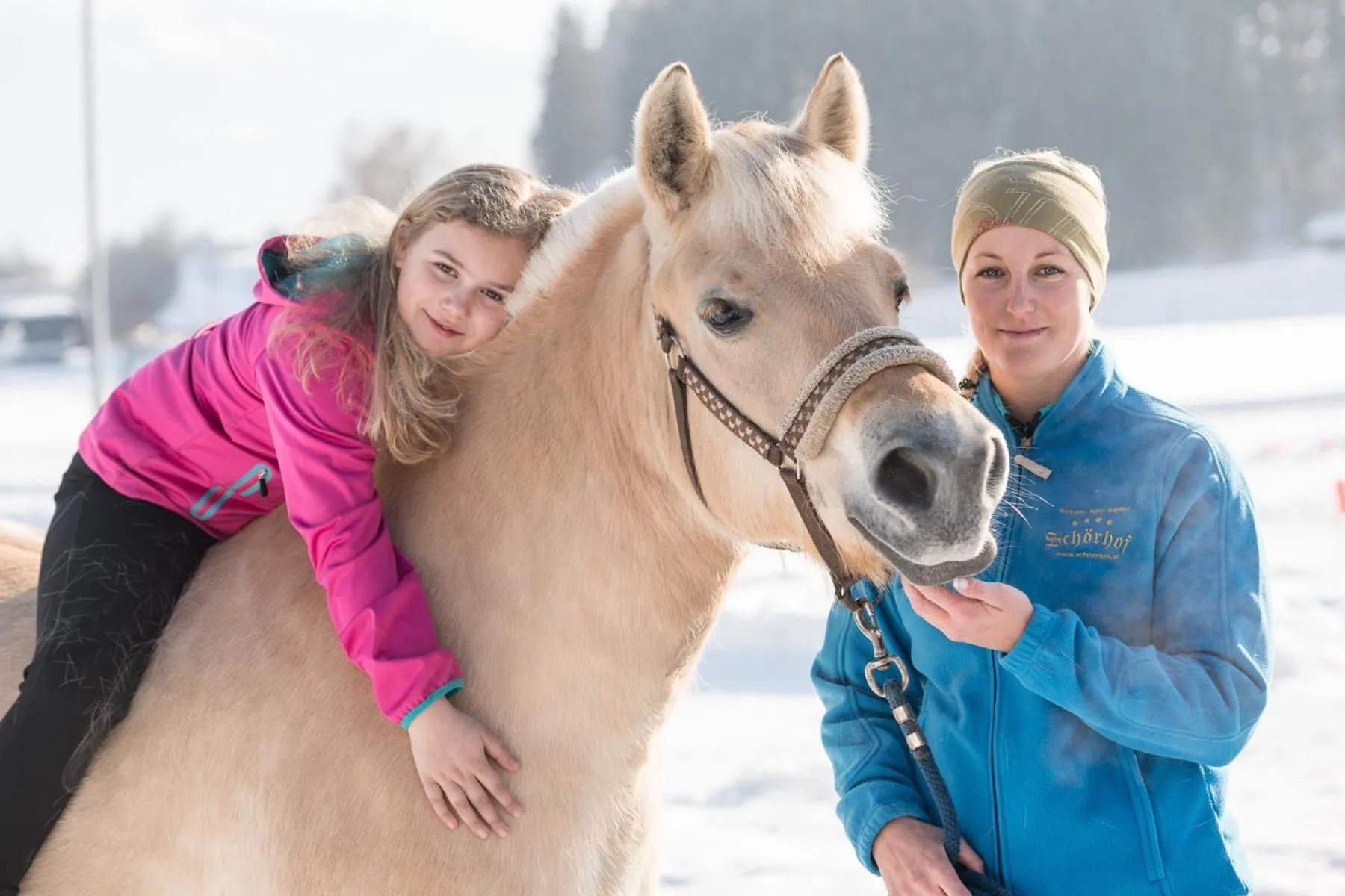 Animals in Hotel Schörhof