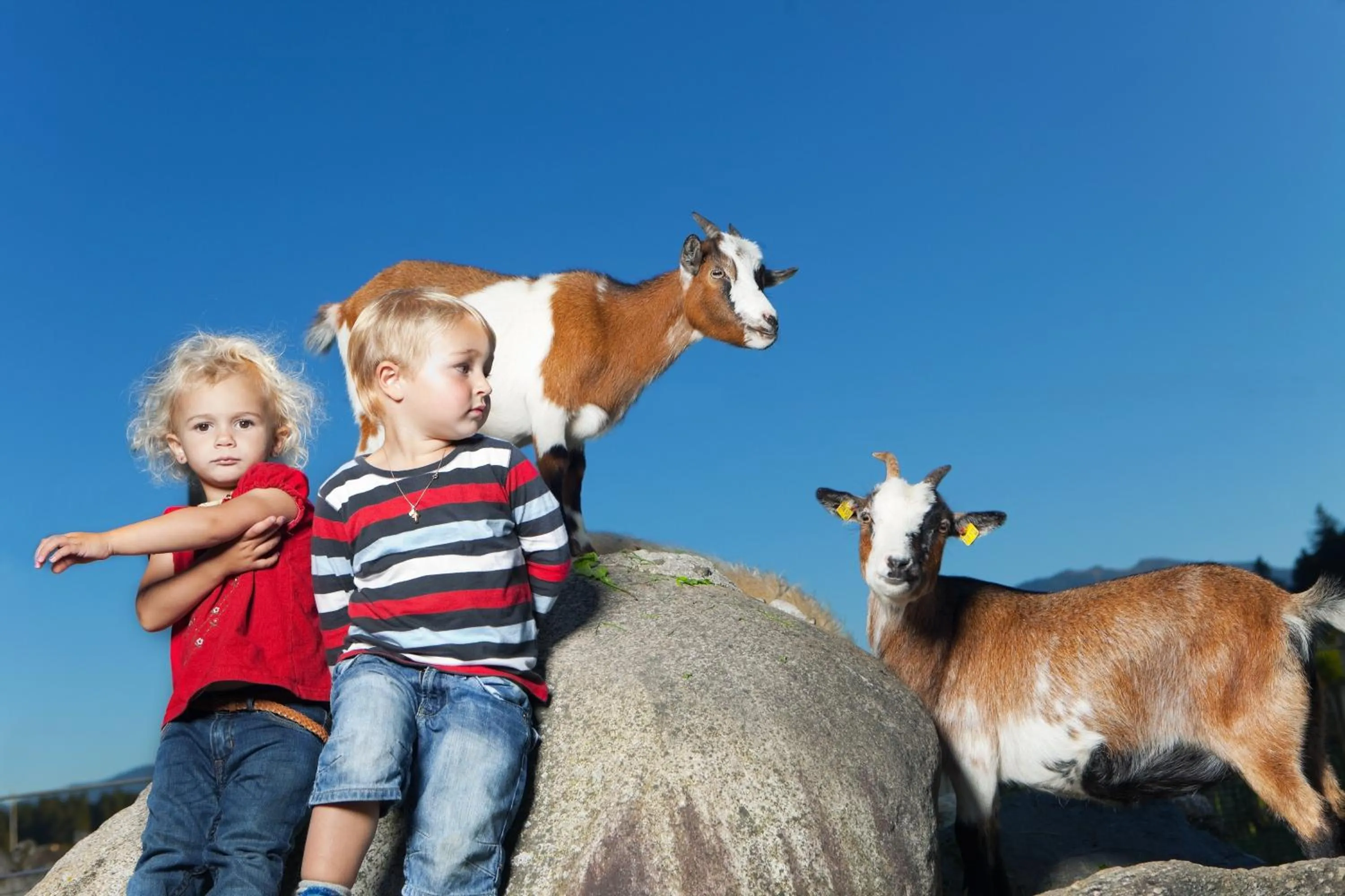 People in Hotel Schörhof