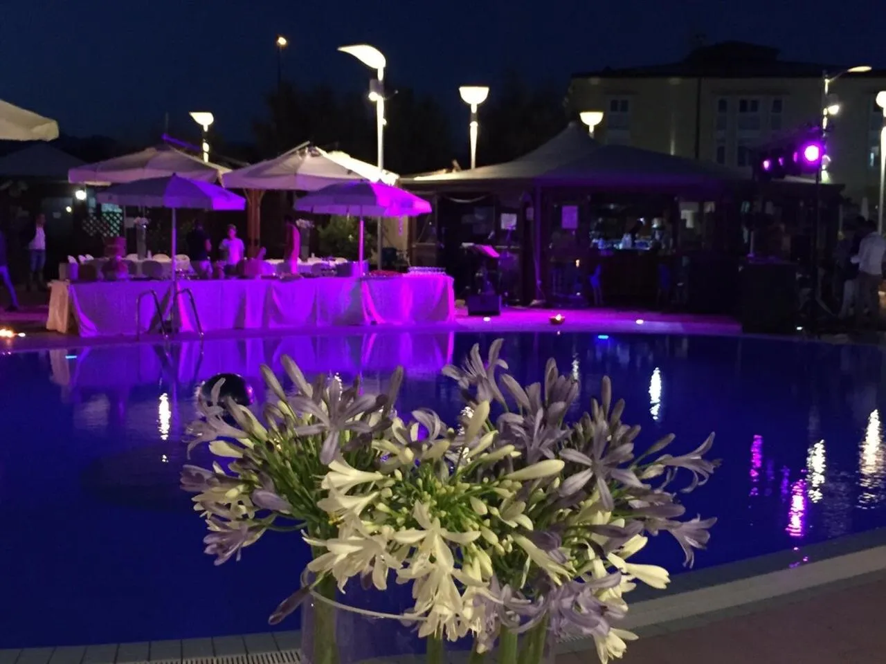 Night in La Isla Resort