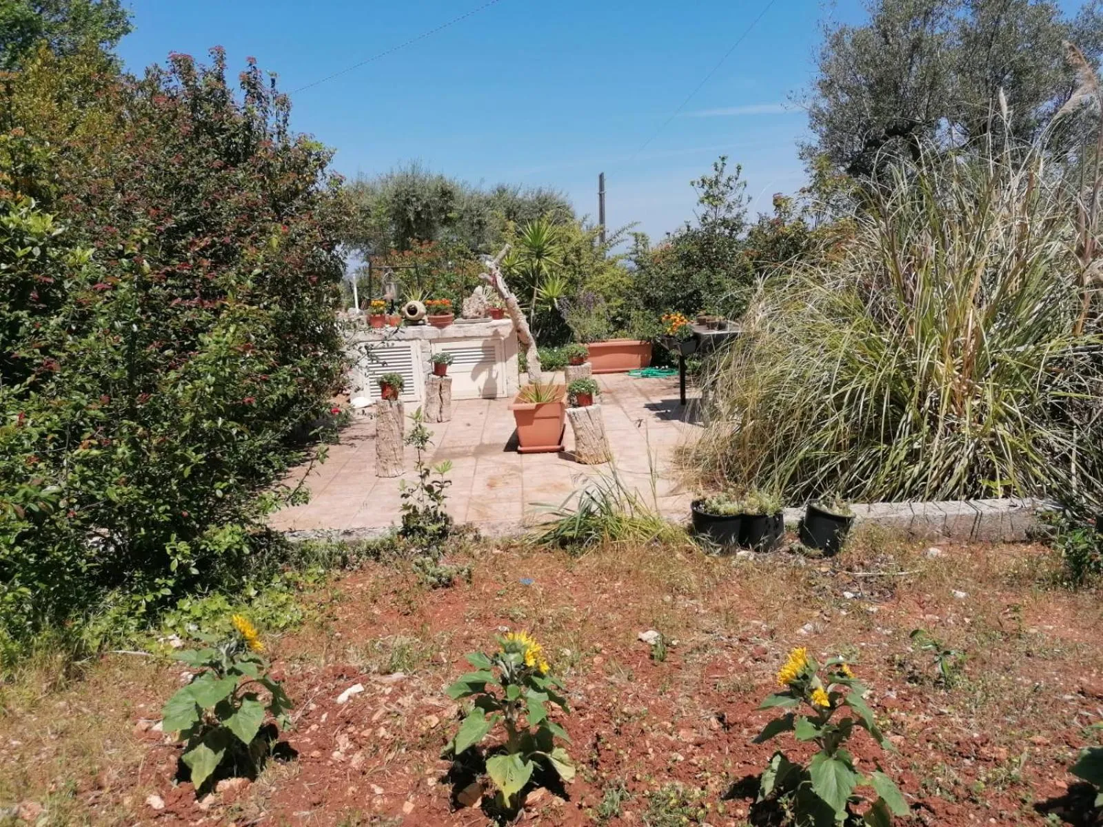 L'Isola Felice e Trulli Sotto Le Stelle