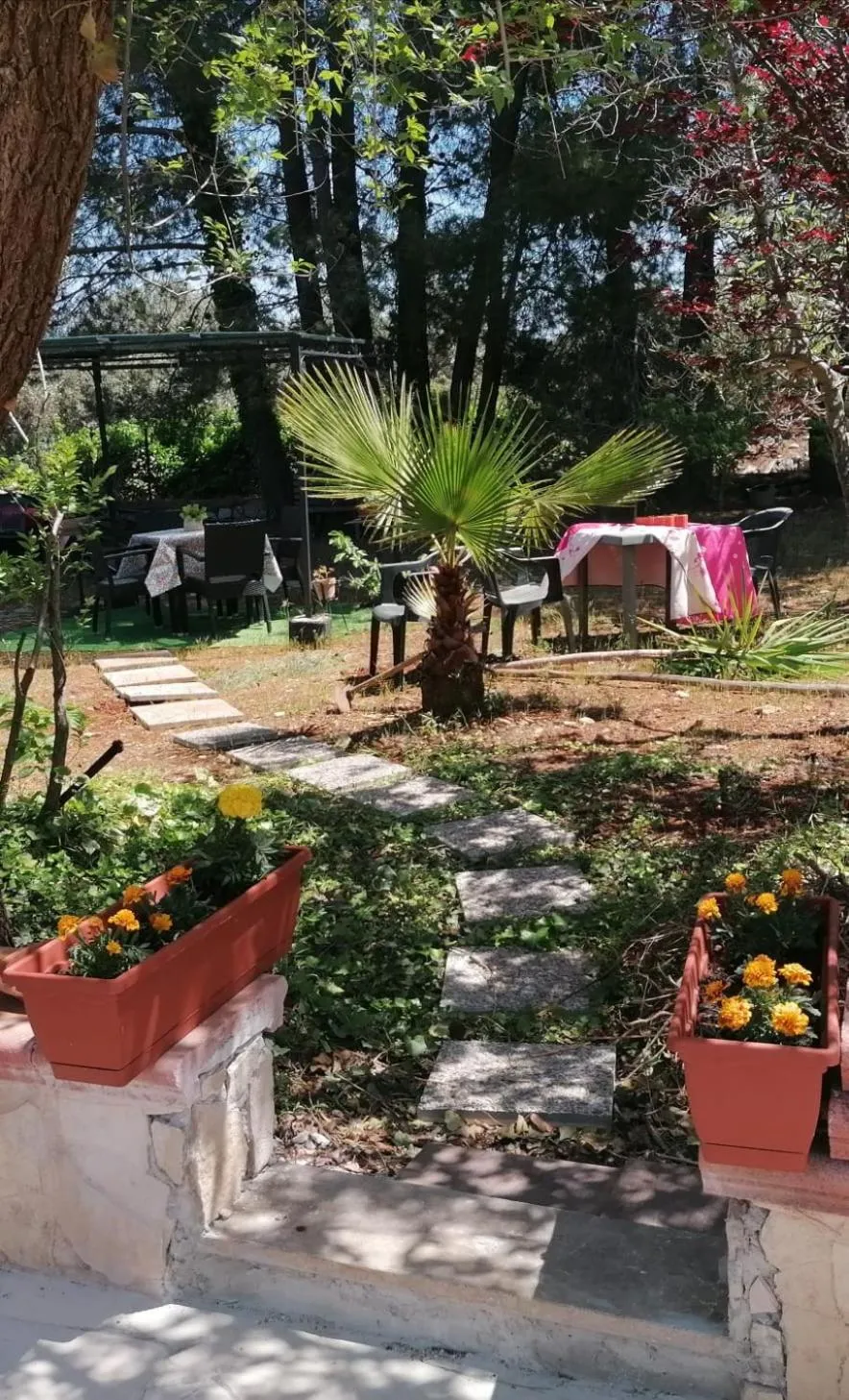 L'Isola Felice e Trulli Sotto Le Stelle