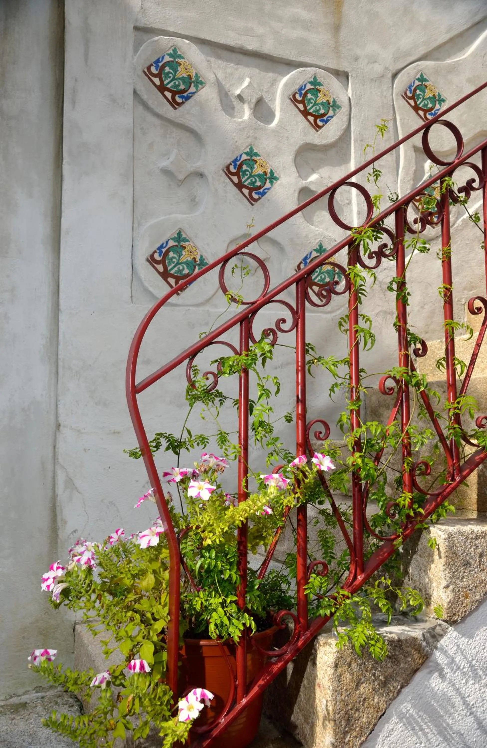 Garden in Dukes Corner Guest House