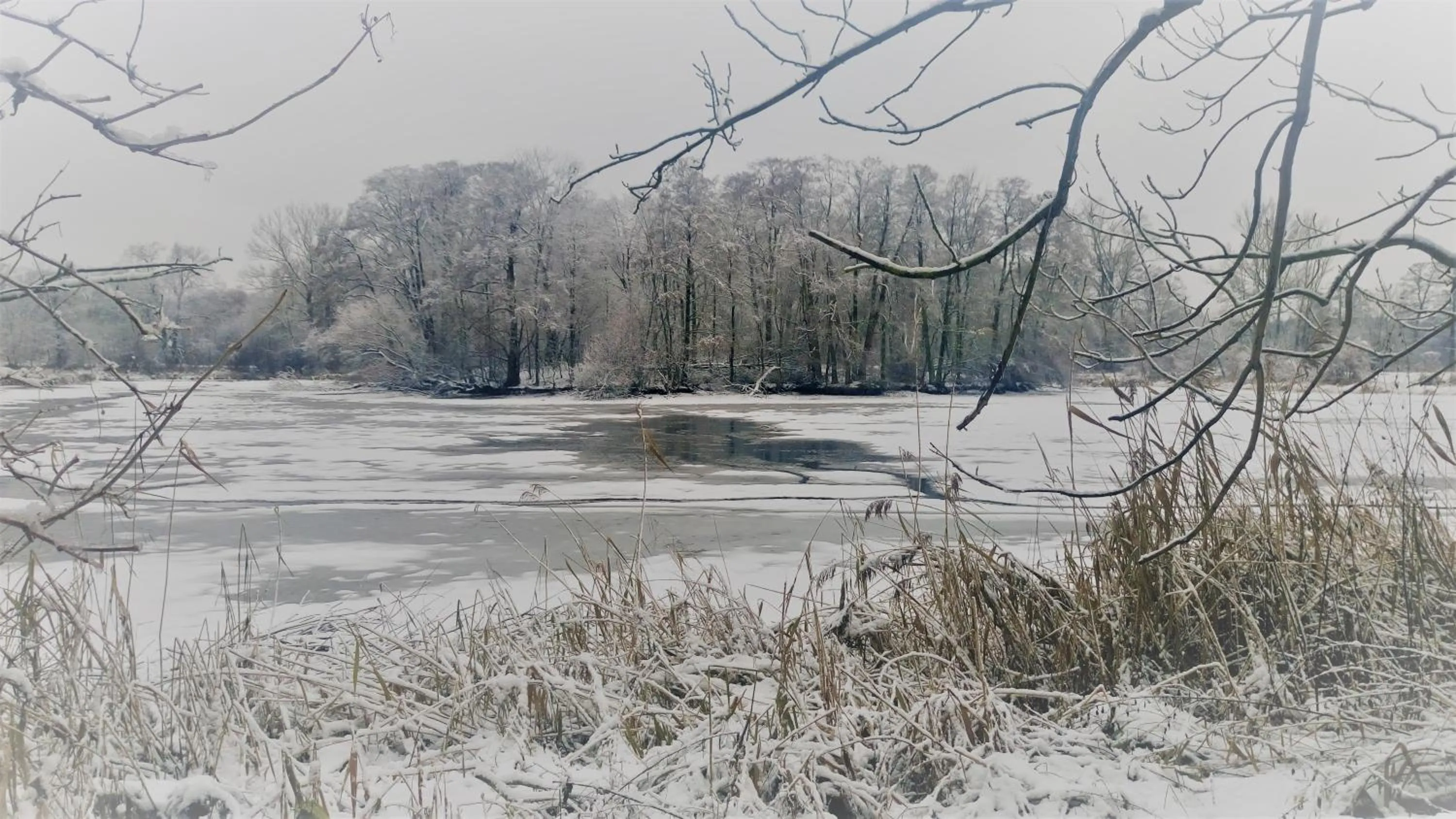 Neighbourhood in 4 Żywioły Falenty Ośrodek Konferencyjno-Szkoleniowy
