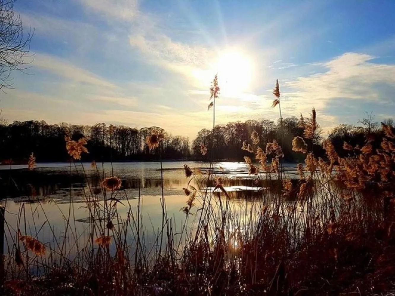 Natural landscape in 4 Żywioły Falenty Ośrodek Konferencyjno-Szkoleniowy