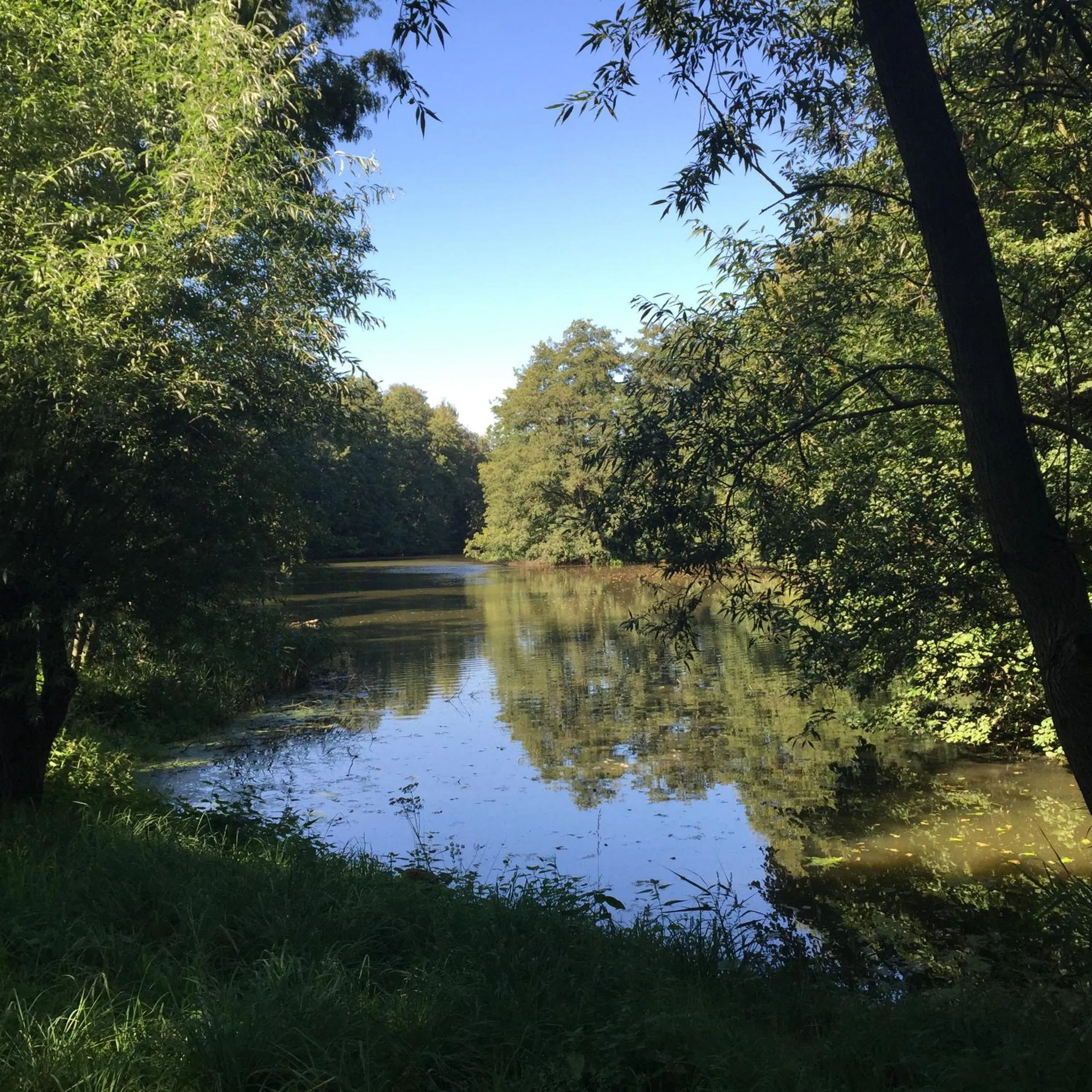 Lake view in Engels Hof