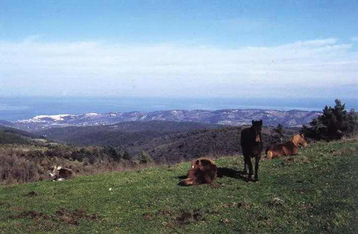 Natural landscape in Agriturismo Fara del Falco