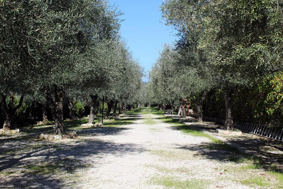 Natural landscape in Agriturismo Fara del Falco