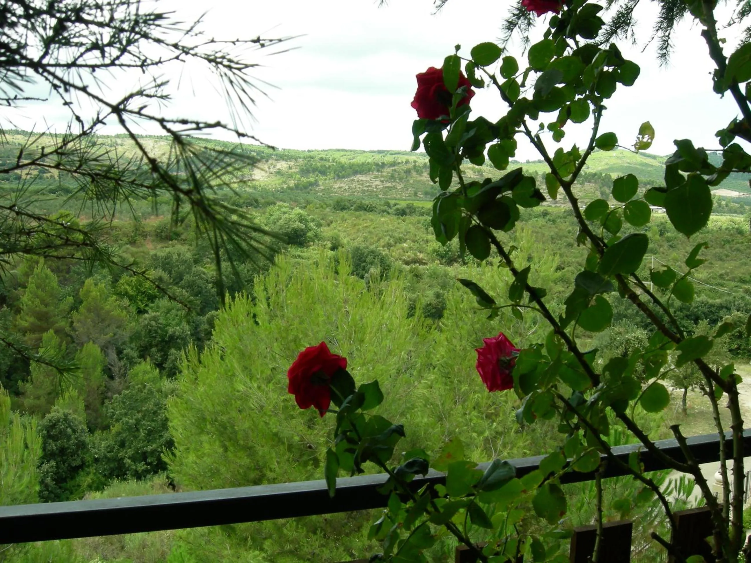 Natural landscape in Agriturismo Fara del Falco